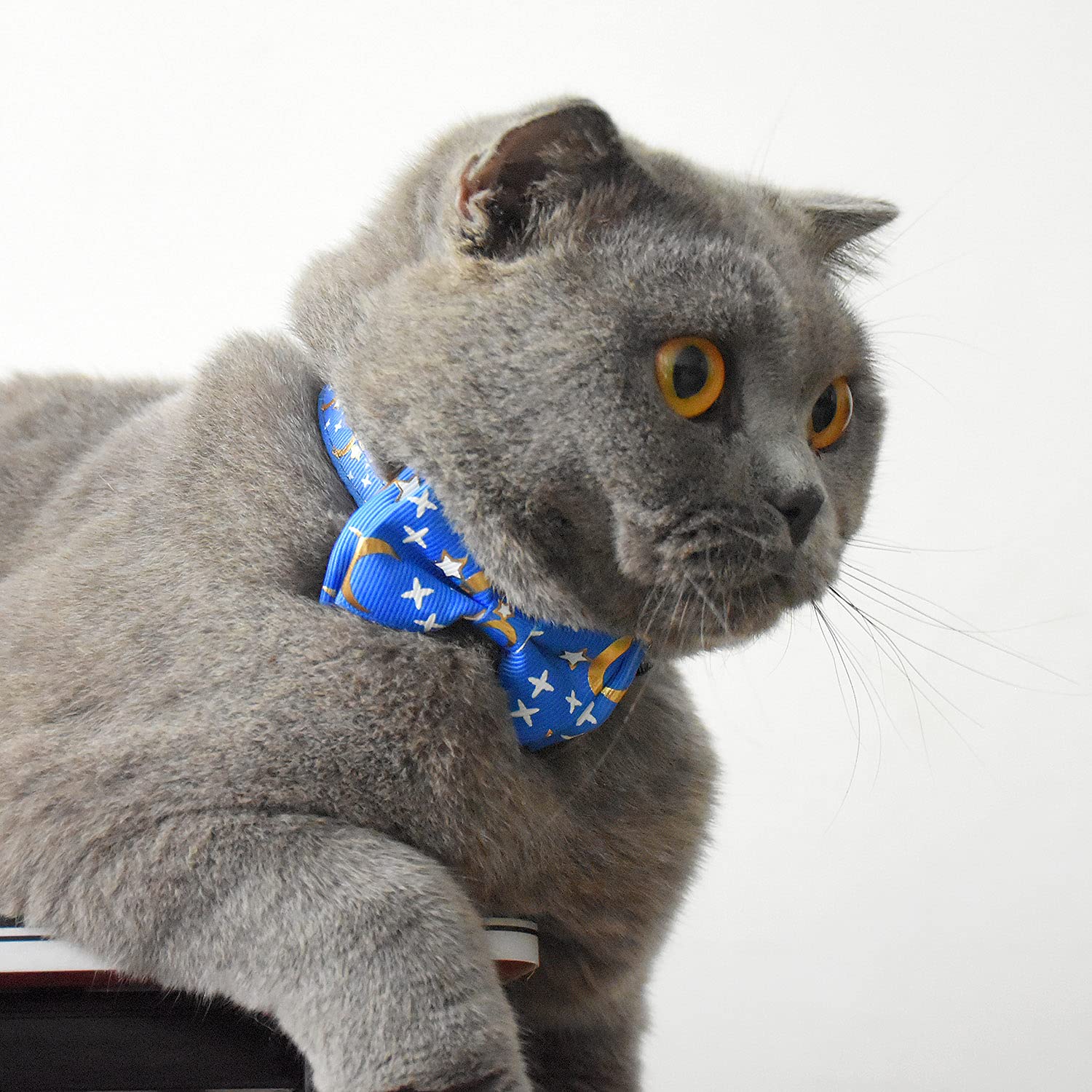 Bowtie Cat Collars Breakaway With Bell, Adjustable Cute Kitty Collars Safety Buckle Kitten Collar For Cat Puppy 7.5-11In (Blue M