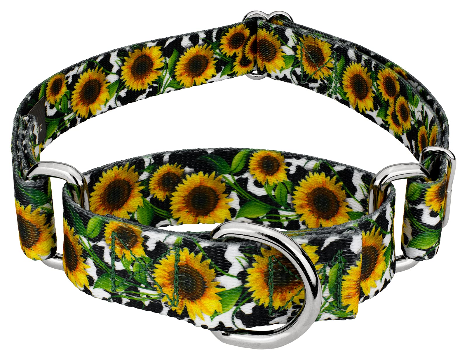 Country Brook Petz - Dairy Fields Martingale Dog Collar - Country And Western Collection Featuring Rustic Designs (1 Inch, Mediu