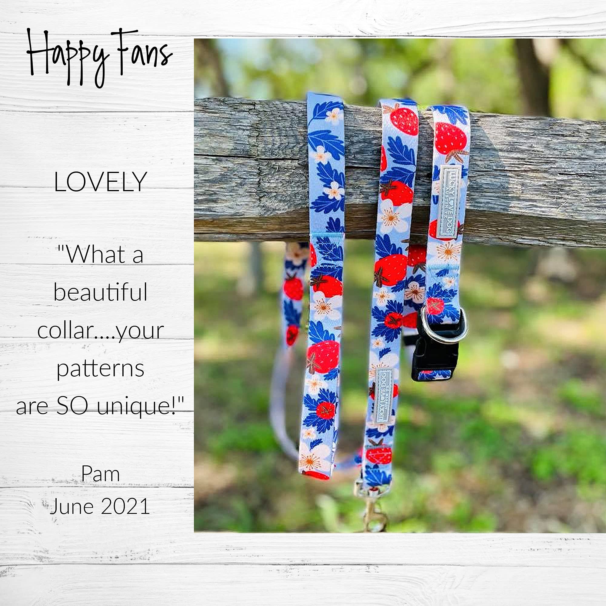 Lucky Love Dog Martingale Collar, Premium Fun Girl No Slip Collars, Strawberry Martingale Large Dog Collar, Great For Whippets,