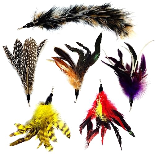 Pet Fit For Life - 6 Piece Kitten Toy Refill Pack - Replacement For Indoor Cat'S Interactive Wand And Catch Wand - Features 5 Assorted Feathers, 1 Furry Tail Attachments