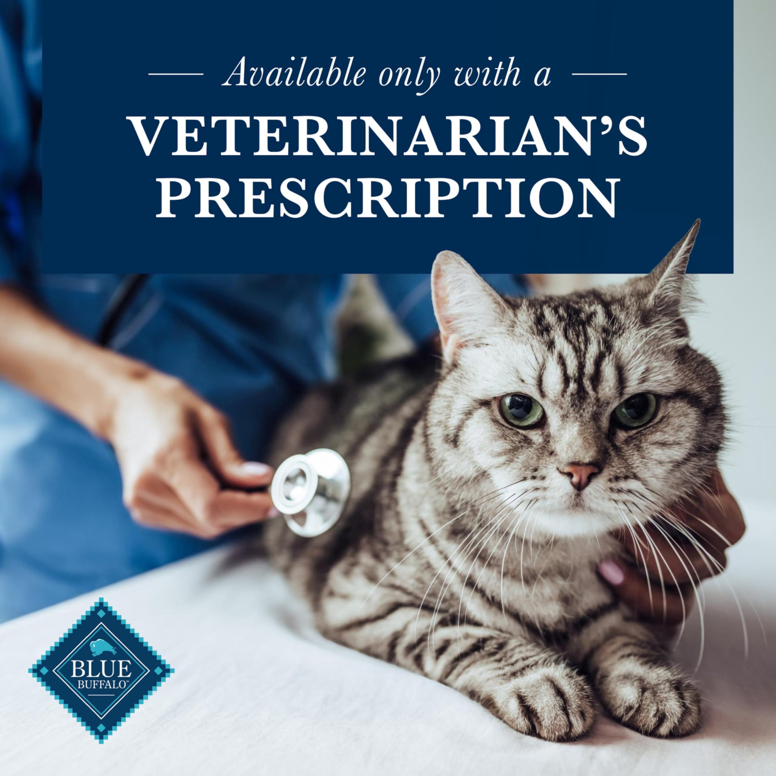 Blue Buffalo Natural Veterinary Diet K+M Dry Cat Food, Kidney + Mobility Support Formula, Veterinarian Prescription Required, Ch