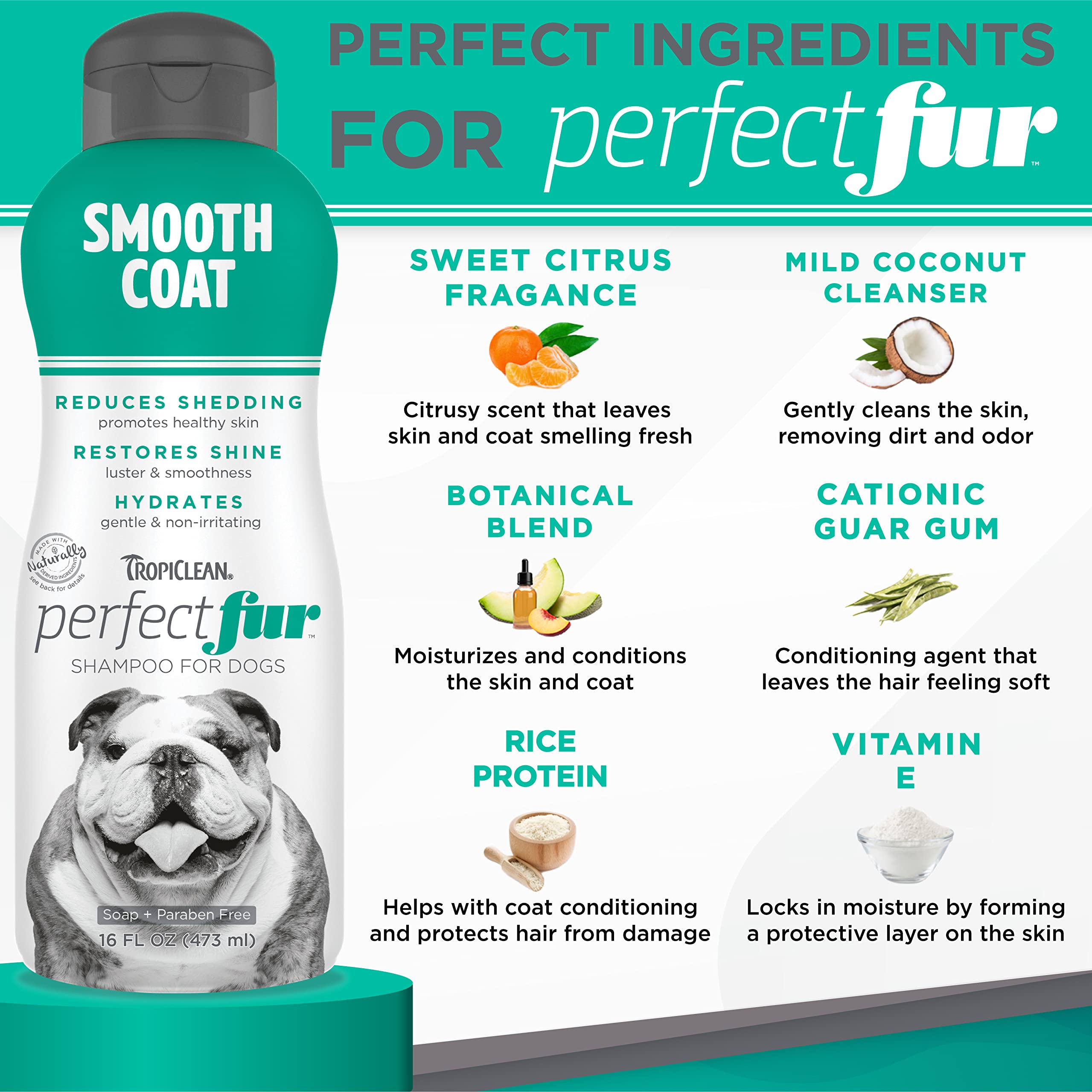 Tropiclean Perfect Fur Dog Shampoo For Shedding Control & Restoring Shine For All Breeds With A Smooth Coat | 16 Oz