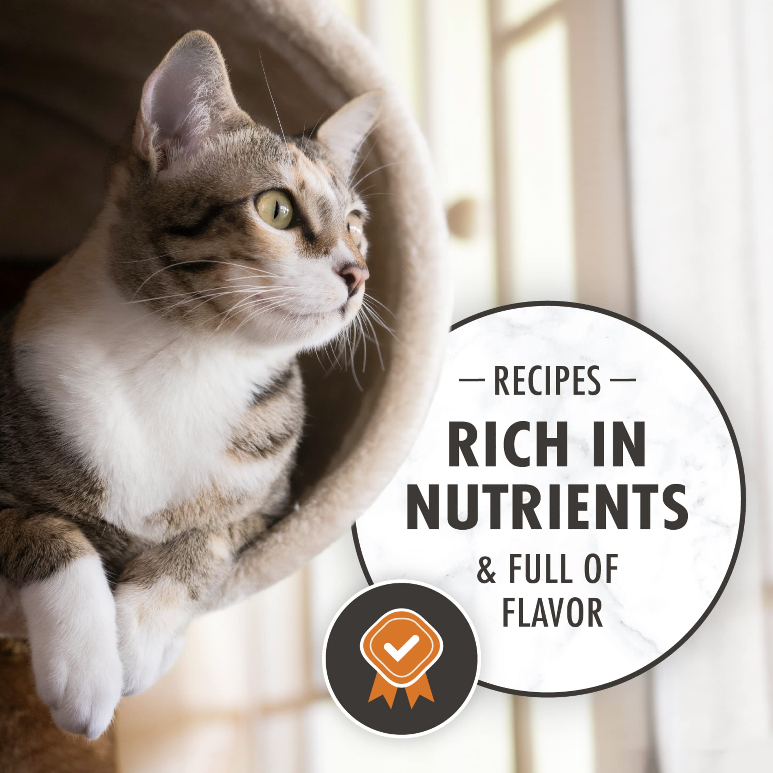 Nutro Wholesome Essentials Dry Cat Food, Enhanced Care Sensitive, Chicken, Rice & Peas, 5 lb. Bag