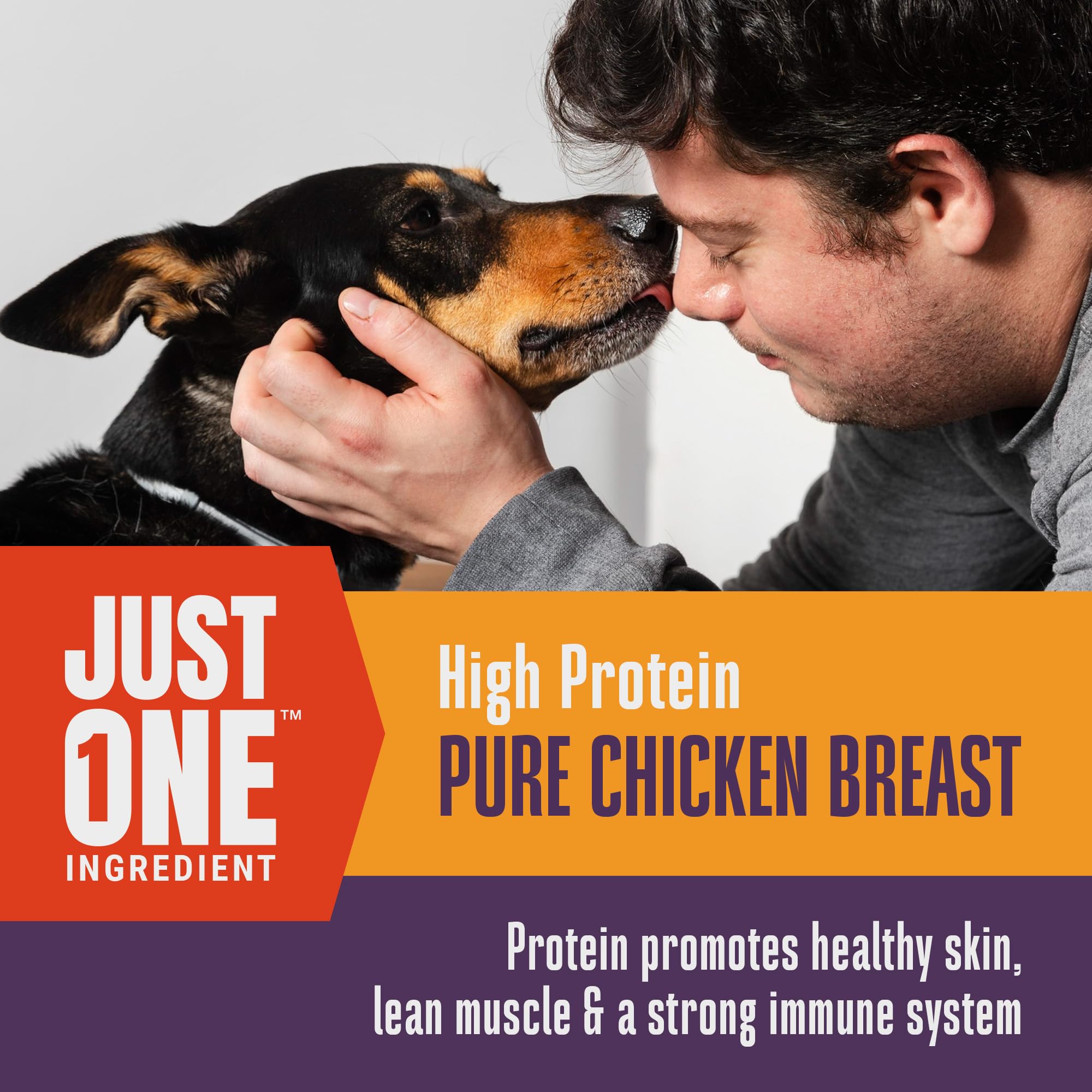 Whole Life Dog Just One Chicken Freeze Dried Dog Treats - Human Grade High Protein Food, Healthy Training Snacks, Freeze Dried F