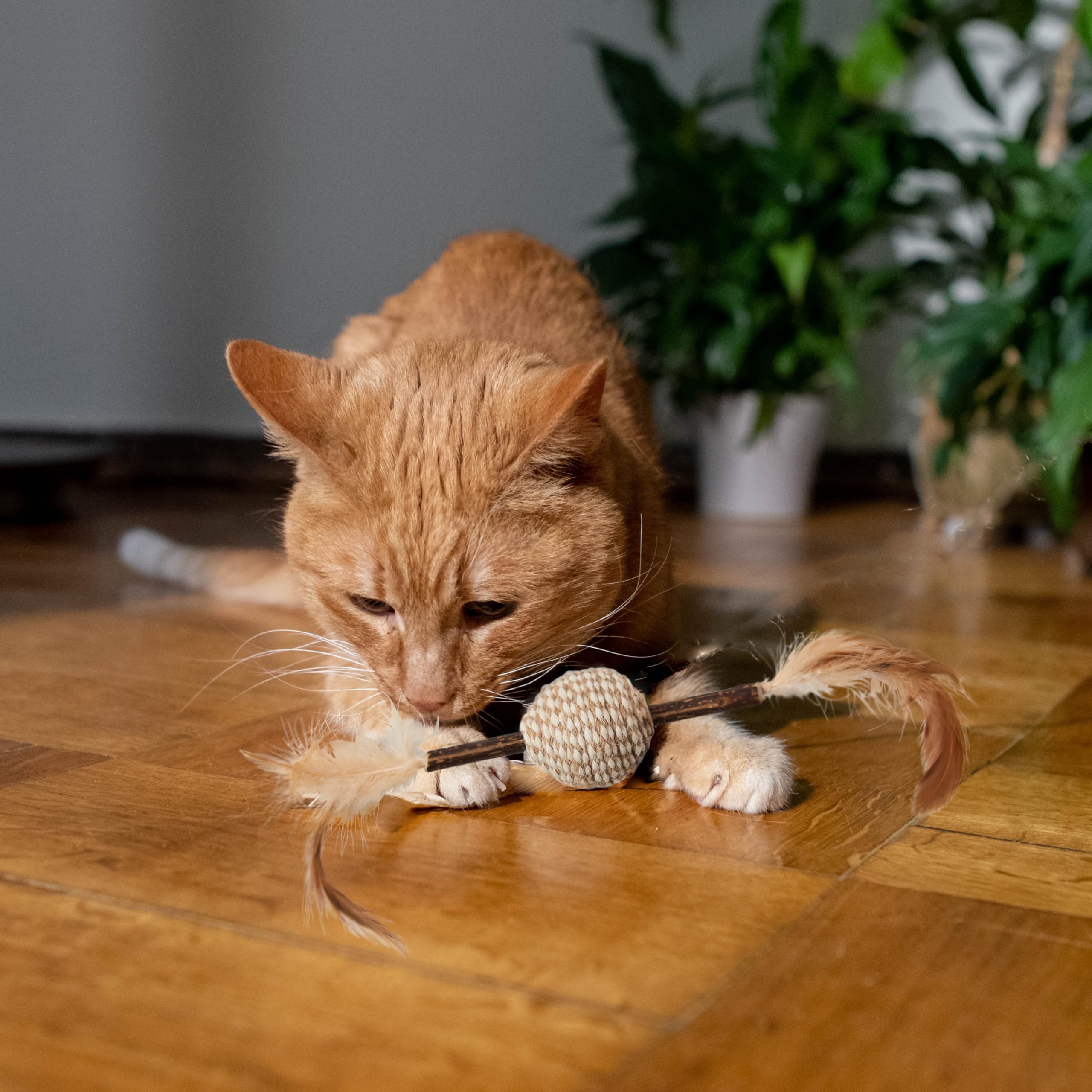 Spot Naturals Silver Vine Cat Toy ?Natural Interactive Enrichment For Cats, Stimulates Play And Reduces Stress, Durable And Safe, Perfect For Indoor Cats And Kittens, Assorted Styles, 1 Piece