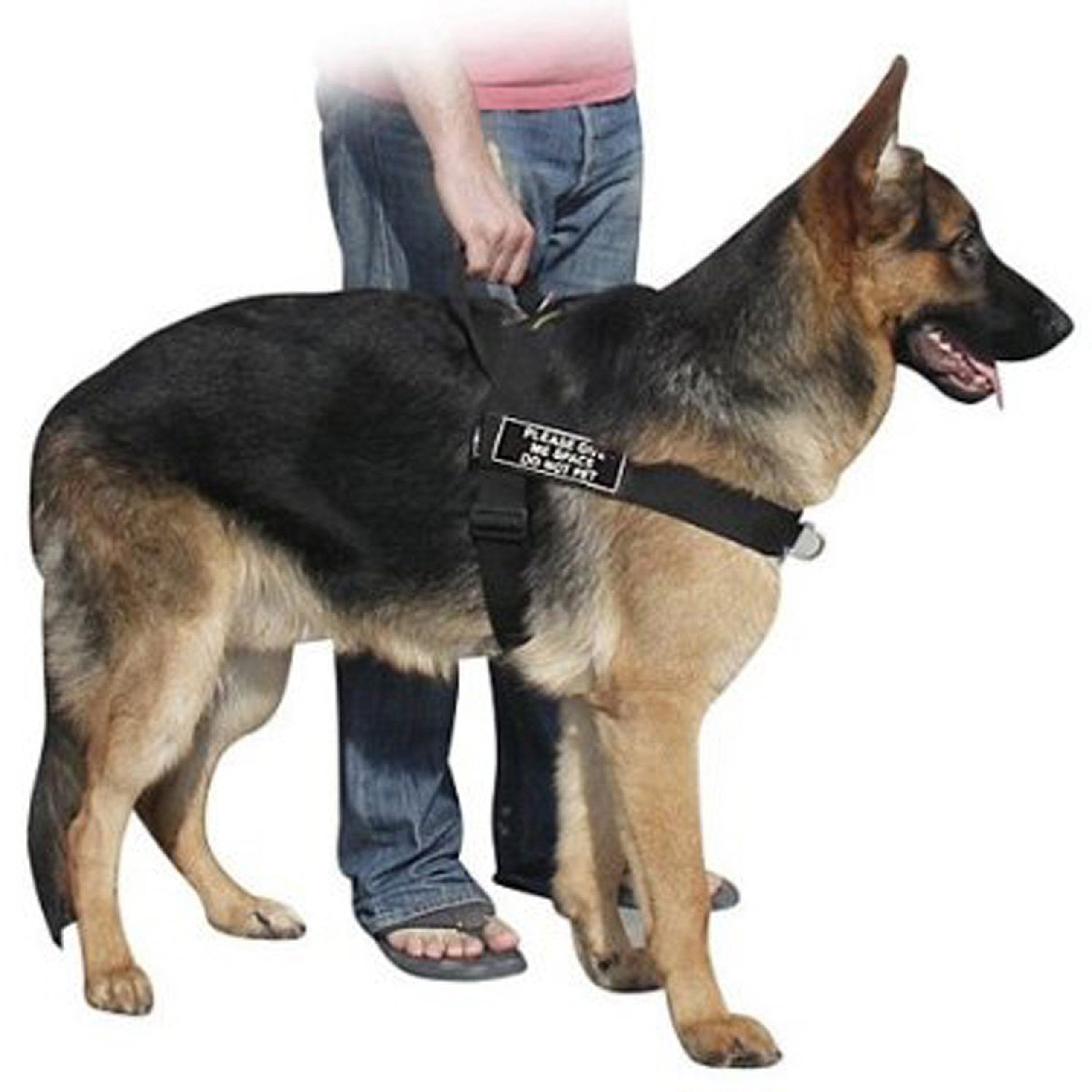 DT Universal No Pull Dog Harness, Please Give Me Space Do Not Pet, Black, Medium, Fits Girth Size: 26-Inch to 32-Inch
