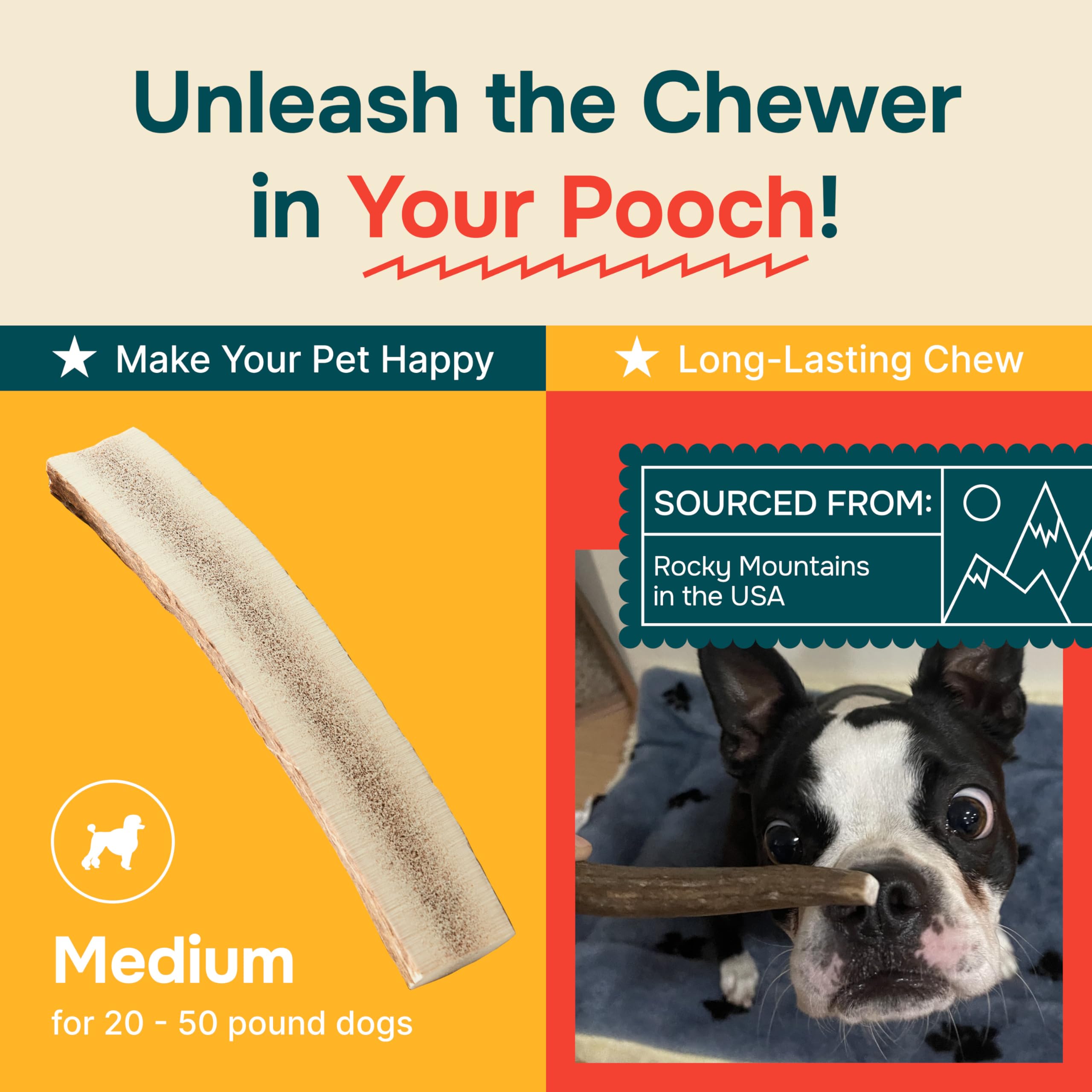 100% Natural - Elk Antlers for Dogs ( Split ) - Naturally Shed in USA - Dog Antler Chews Medium Breeds - Natural, Long-Lasting T