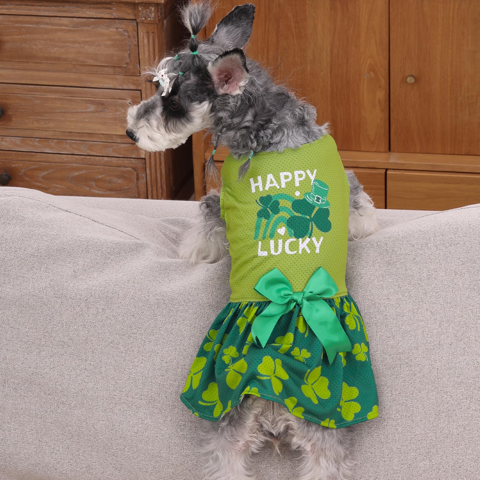 Cutebone Dog Mesh Dress St.Patrick'S Day Puppy Sundress Pet Outfit Summer Fashion For Small Dogs Girl Cat Clothes Bf42Xs-D