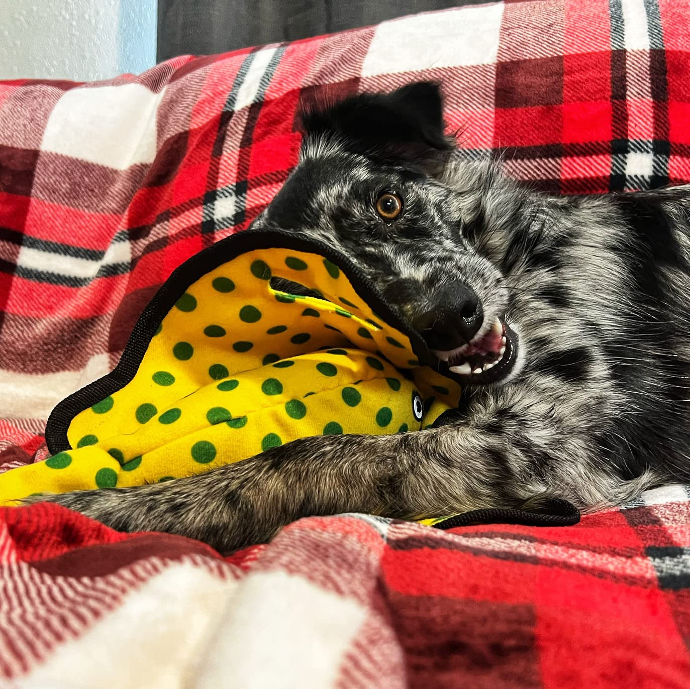 Smartpetlove Snuggle Puppy Tender-Tuffs - Yellow Stingray Tug Of War Plush Dog Toy - Great For Play And Interaction With Puncture Resistant Squeaker