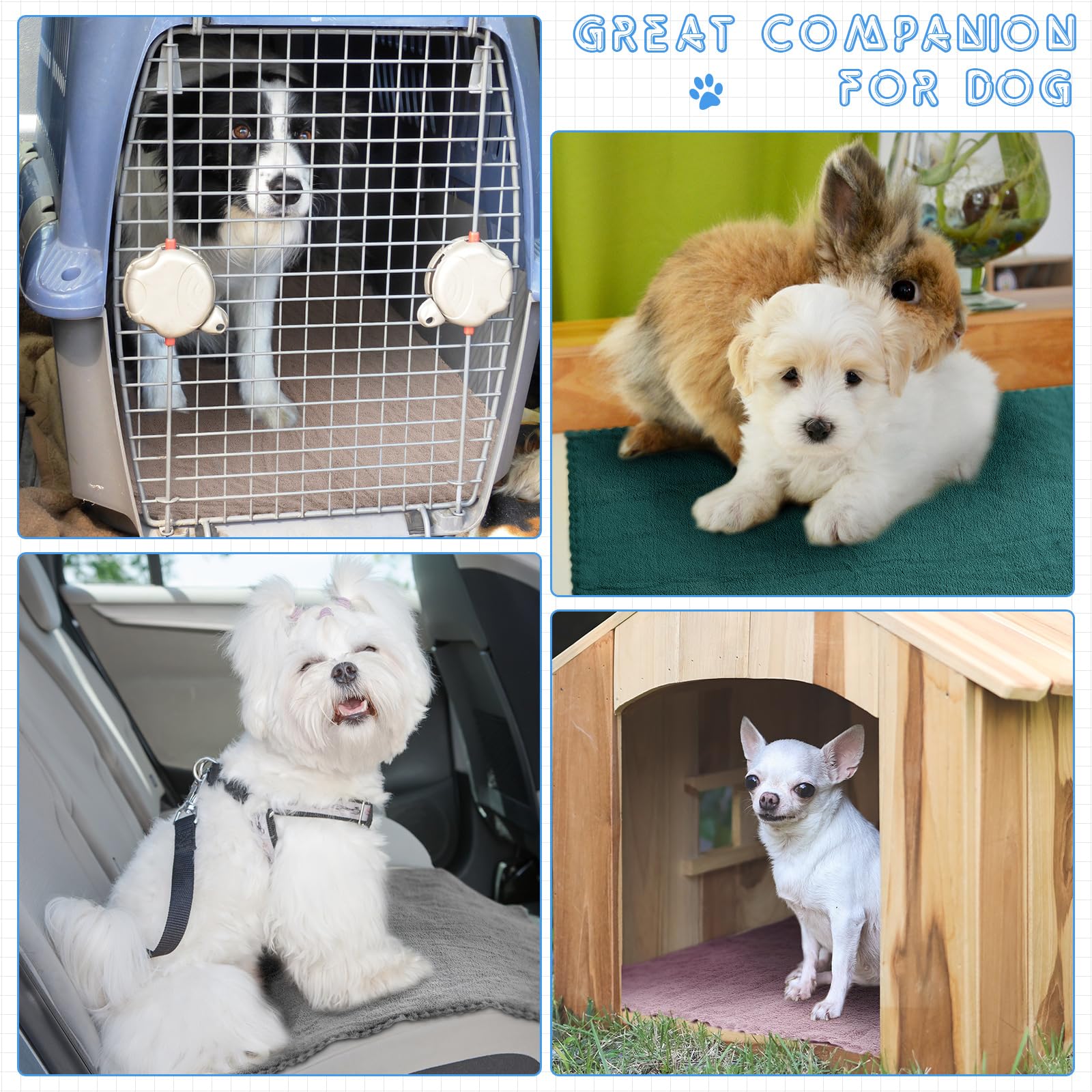 Smoothnovelty 5 Pcs Waterproof Guinea Pig Blankets Washable Small Animal Pee Pad Pet Blanket Sleep Bedding Mats Absorbent Guinea