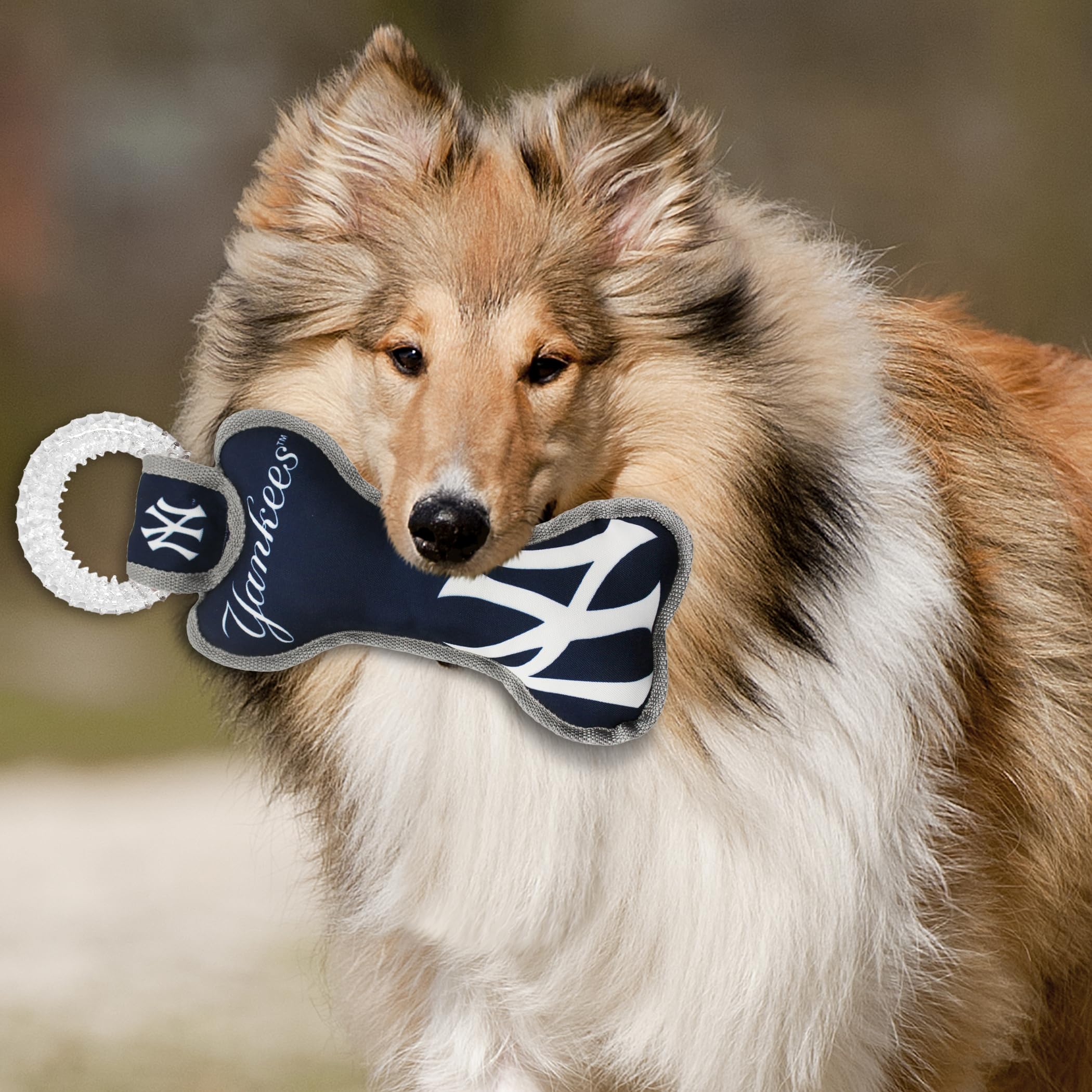 Pets First MLB New York Yankees Dog TUG Toy, Bone Shaped with Squeaker, 11 x 6", Tough Polyester for Teething & Dental Health