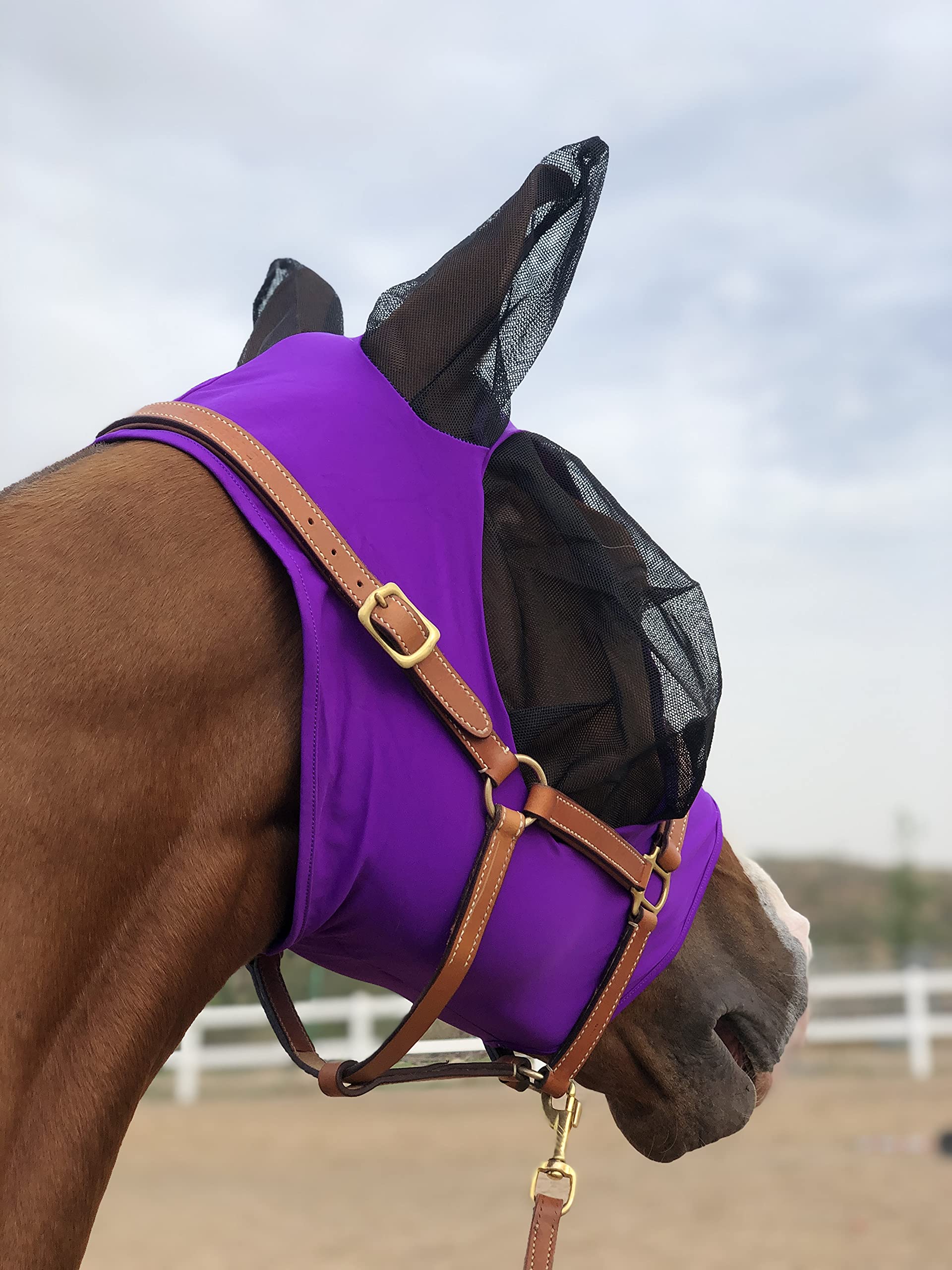 Horse Fly Mask Super Comfort Horse Fly Mask Elasticity Fly Mask with Ears We Only Make Products That Horses Like (Dk Purple, M)