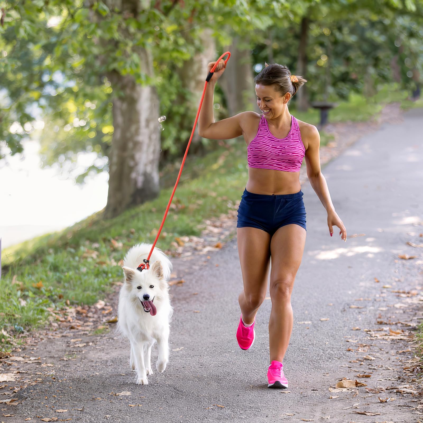 Fovrlzse 2 - Piece Set! No - Pull Slip Lead Dog Leashes - 5Ft Super - Strong Rope For Small & Medium Dogs In Gorgeous Pink And O
