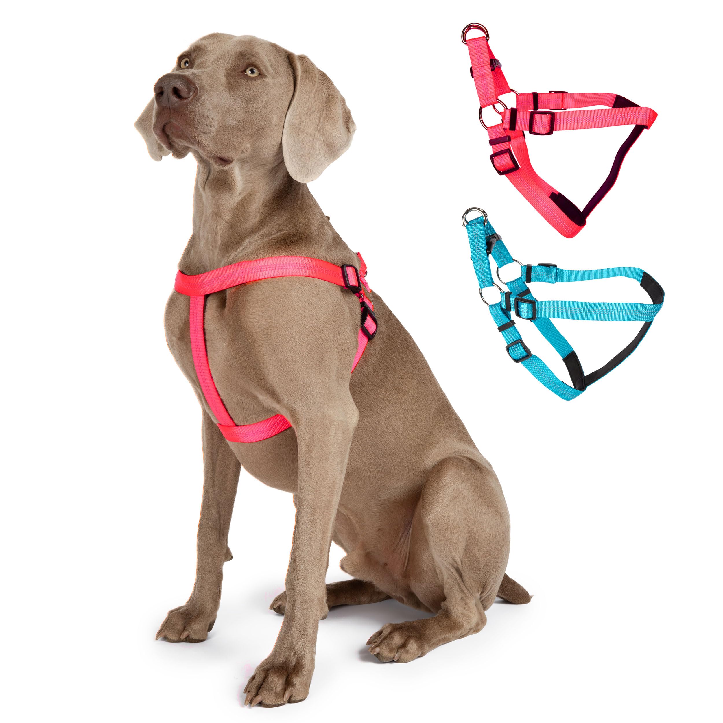 Blazin No Pull Dog Harness - Adjustable Step-In Reflective Nylon Vest Harness - Neoprene Padded For Extra Comfort (Small, Pink)