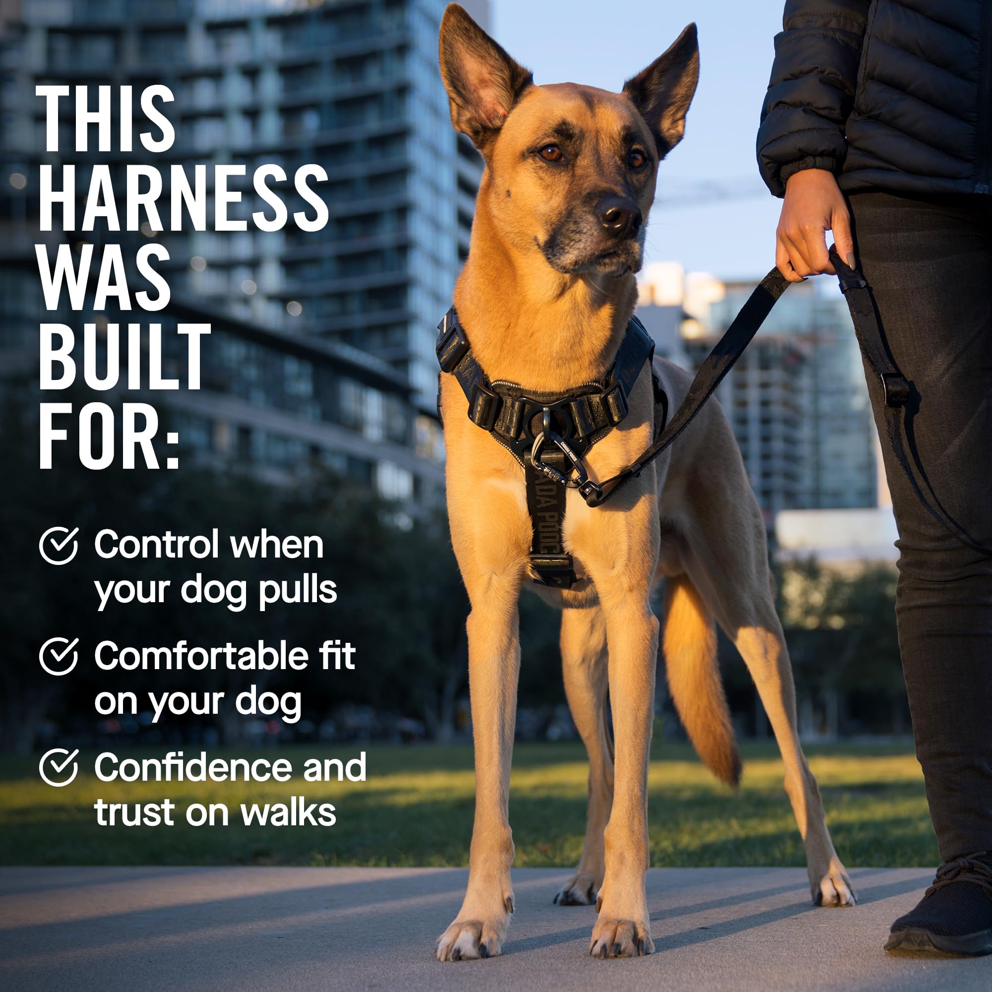 Canada Pooch Complete Control Dog Harness Black, Large Dubbulon Portatovaglioli In Metallo