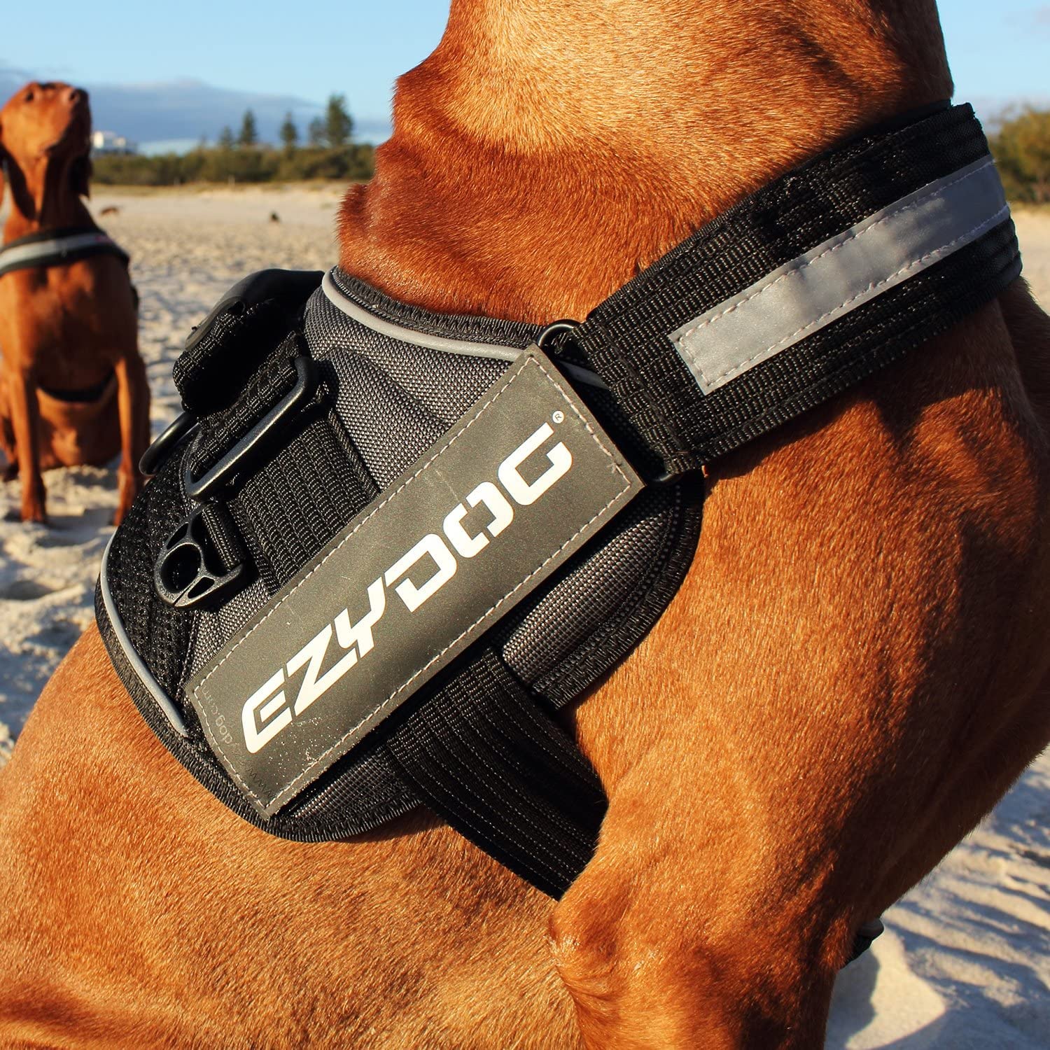 Ezydog Convert Trail-Ready Outdoor Adjustable Dog Harness - Perfect For Hiking, Walking, And Doubles As A Service Dog Vest - Superior Comfort Design With A Durable Traffic Handle (Xx-Large, Charcoal)