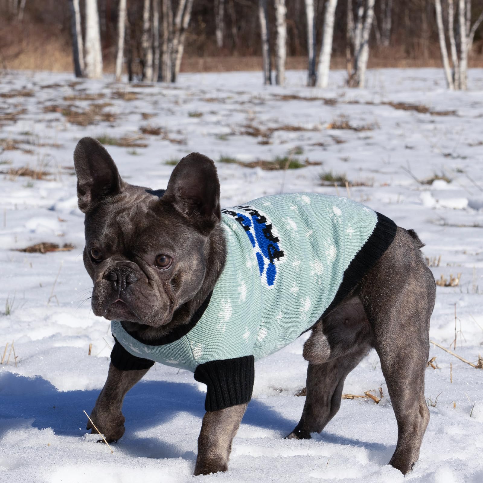 Cutebone Dog Sweater Happy Pawliday Knit Puppy Clothes For Small Dogs Pullover Pet Winter Clothes With Harness Hole