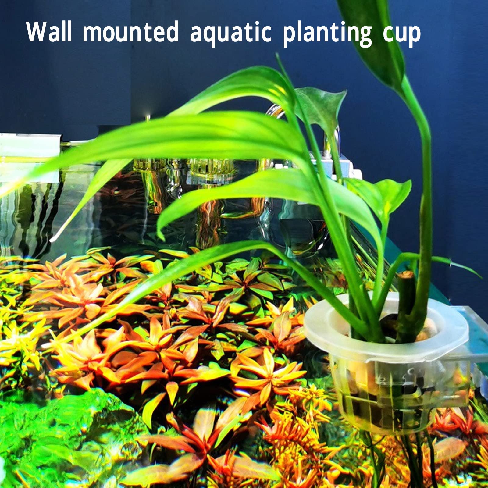 Hanging Aquarium Plant Holder, Aquatic Plants Holder With Fixed Frame Aquarium Planter Cup Aquarium Decorations Plants Pot For D