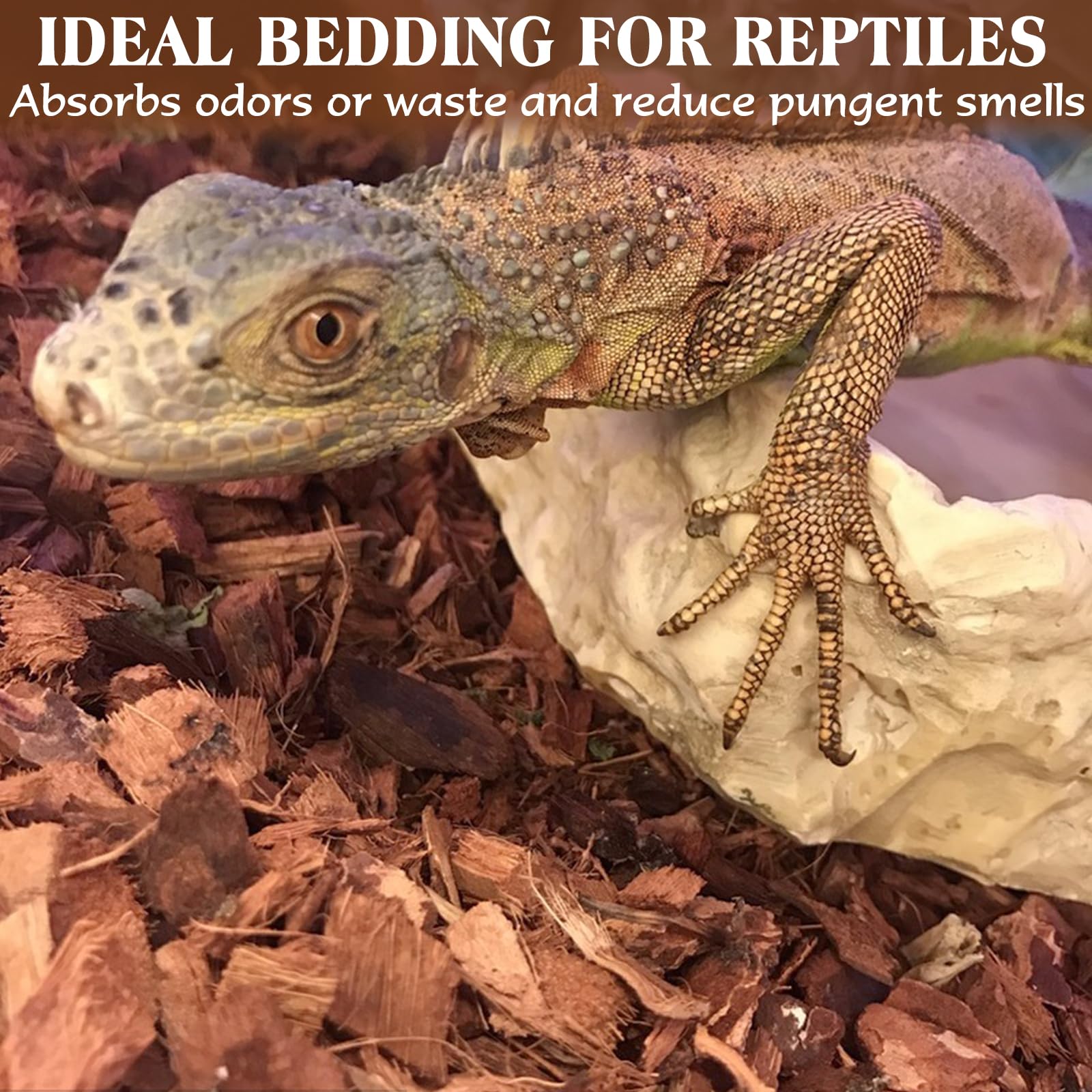 ZeeDix 10LB Coco Fiber Chips Substrate for Reptiles, 72 Quart Coconut Fiber Husk Substrate Mulch Coco Chips Bricks Reptiles Bedd