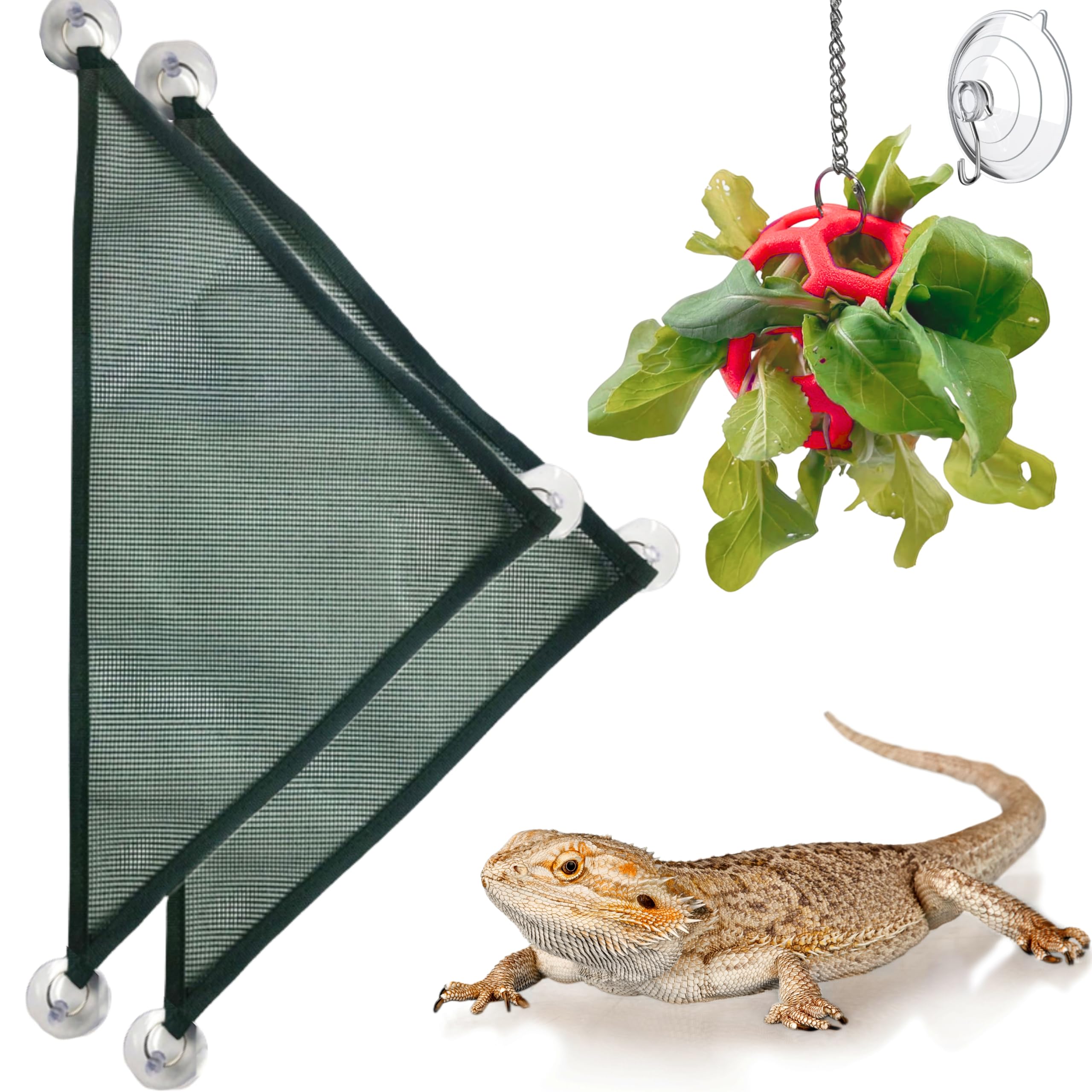 Bearded Dragon Reptile Hammock Enrichment Cage Accessories, Bearded Dragon Feeder Ball and Breathable Mesh Hammock, Lizard Hammo