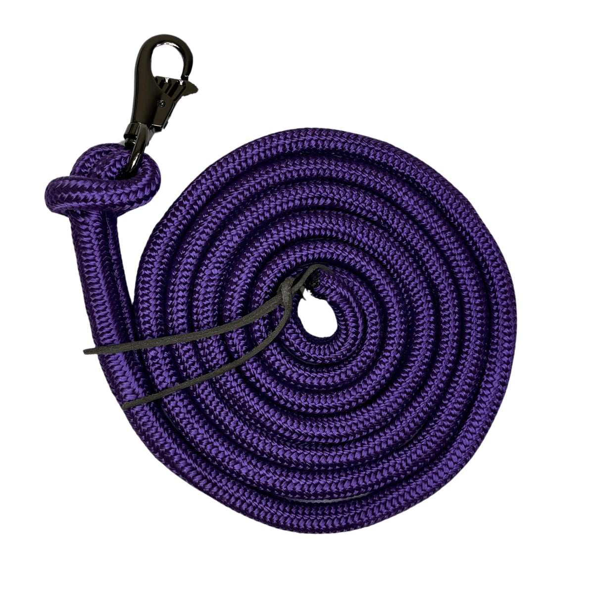 Kensington Training Lead Size: 10' Color: Purple W/Black Nickle