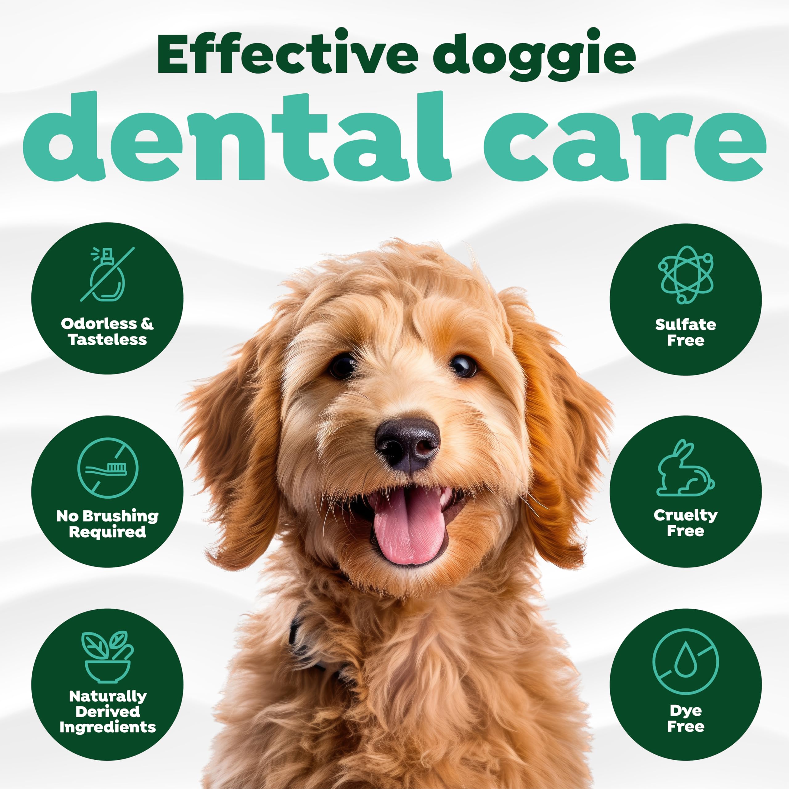 TropiClean Dog Breath Water Additive - Fresh Breath Advanced Whitening, 16 fl oz, Clear, FBAWWA16Z, Dental Care