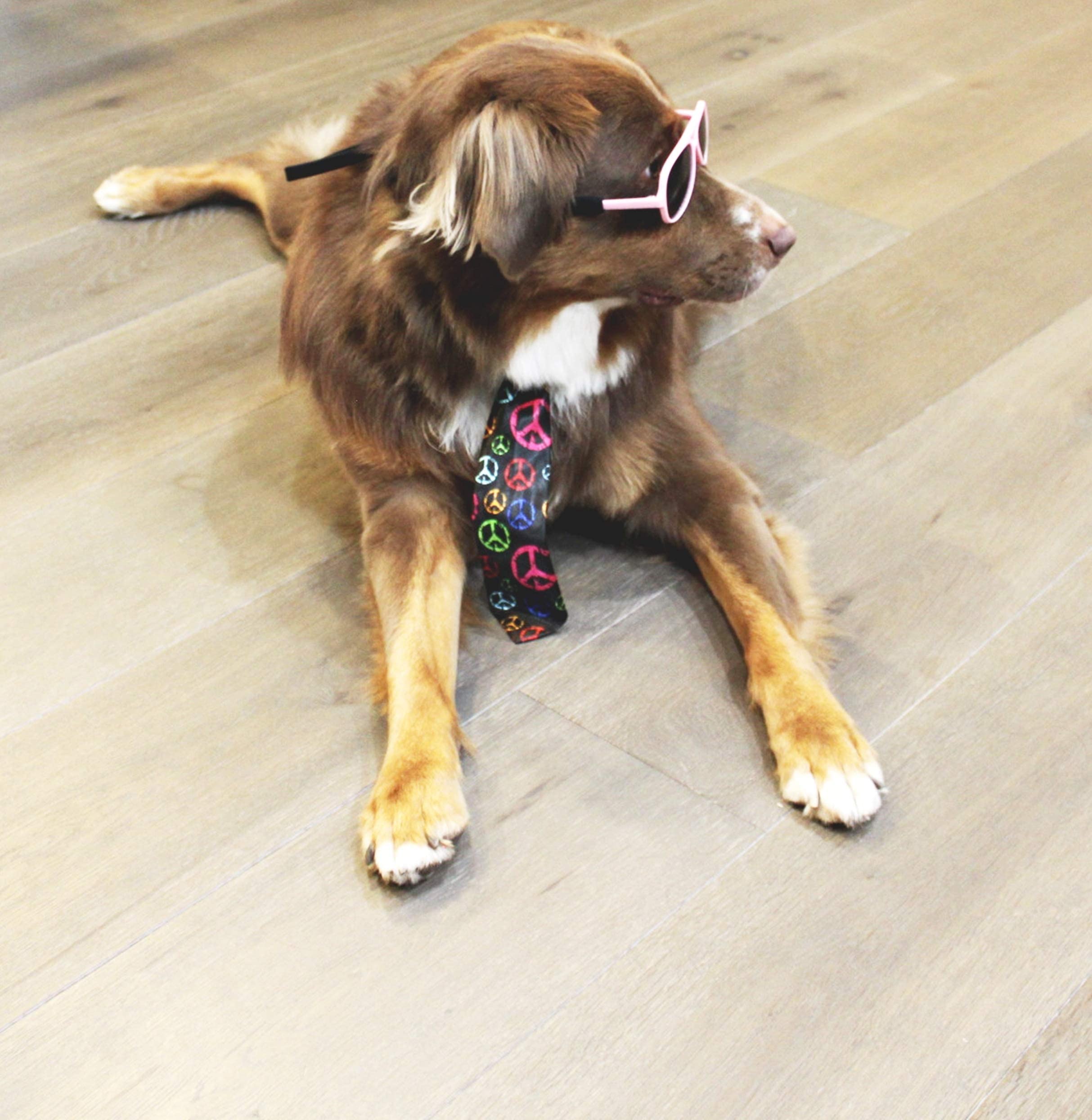 G010 Dog Pet Costume Aviator Sunglasses For Medium Breeds 20-40 Lbs (Pink)