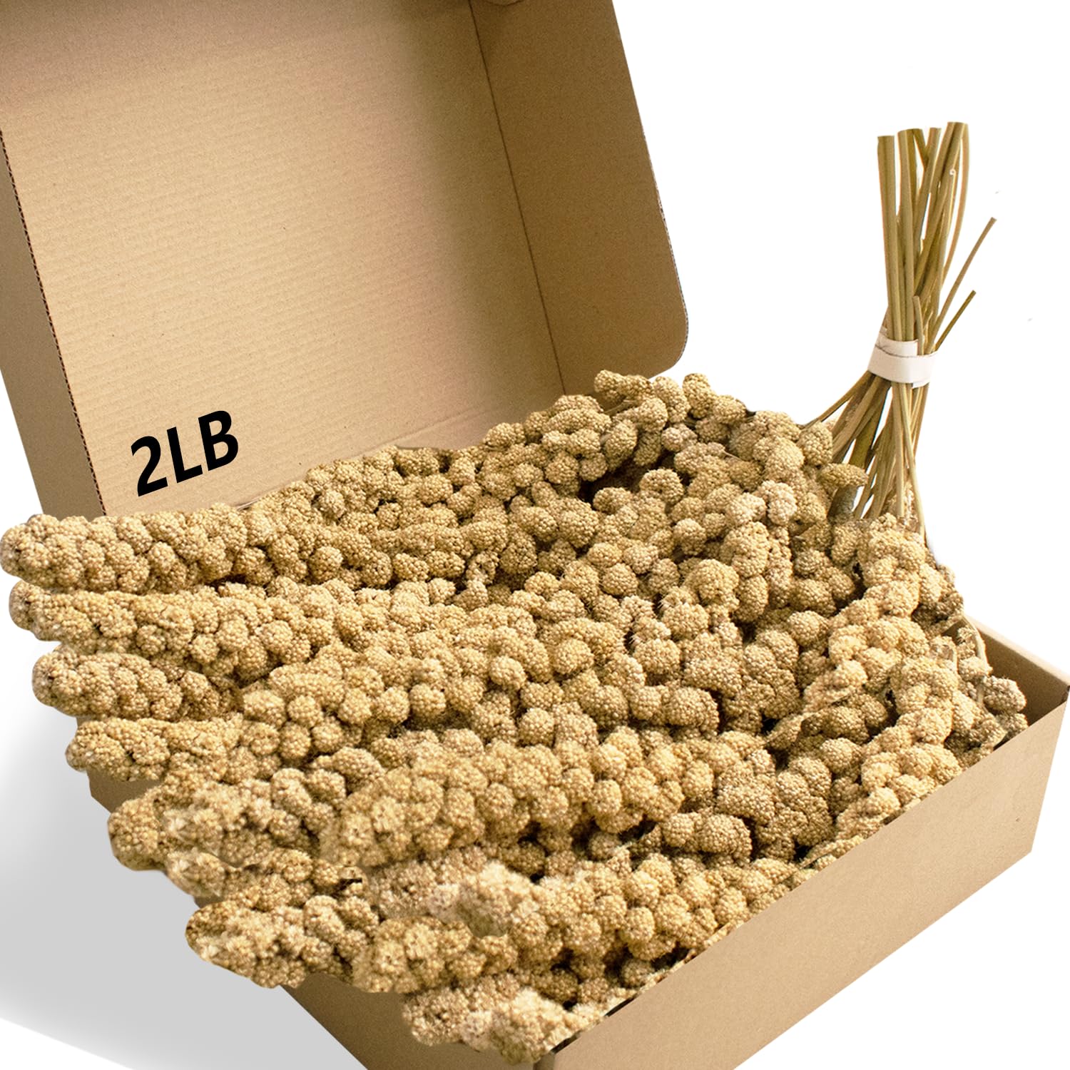 Jmxus 2LB Spray Millet Treat for Birds Parakeets, Natural Sun-Dried Birds Millet for Cockatiel, Finches, Parrots, Hamster
