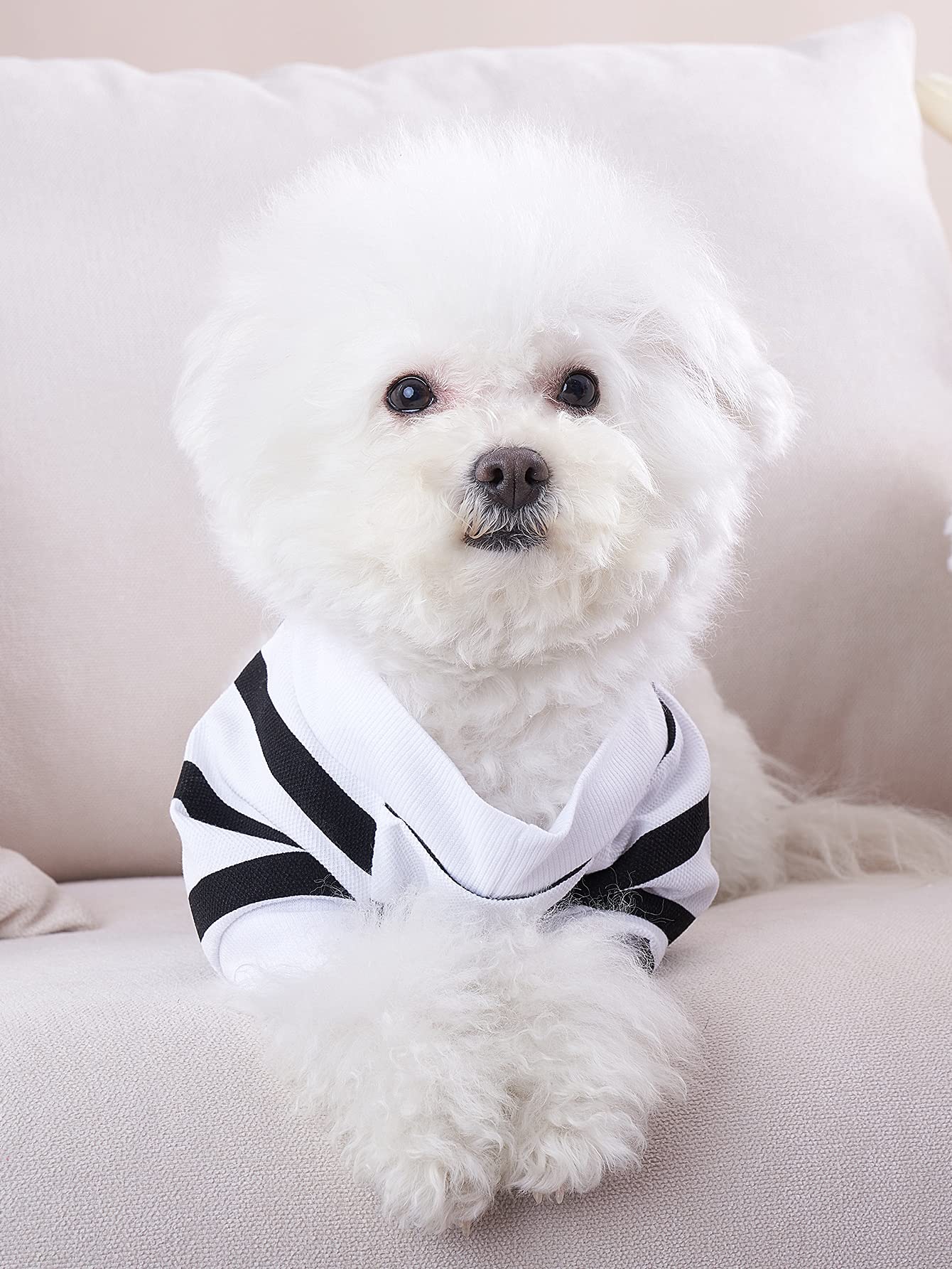 Small Puppy Clothes For Boys Dogs Puppy Striped Tshirt French Boston Terriers Clothes, Xs, White