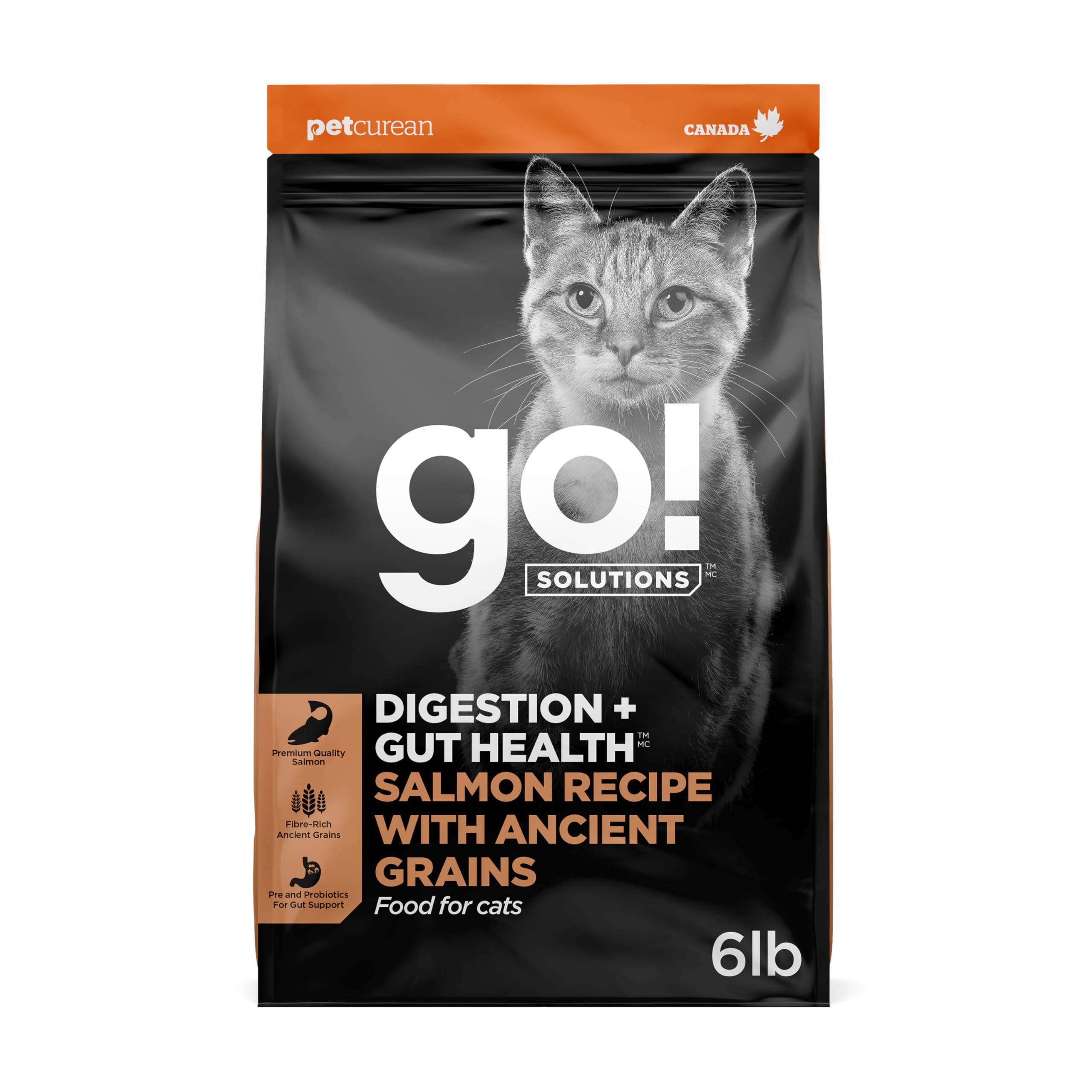 Go! Solutions Digestion + Gut Health Salmon Dry Cat Food, 6 lb
