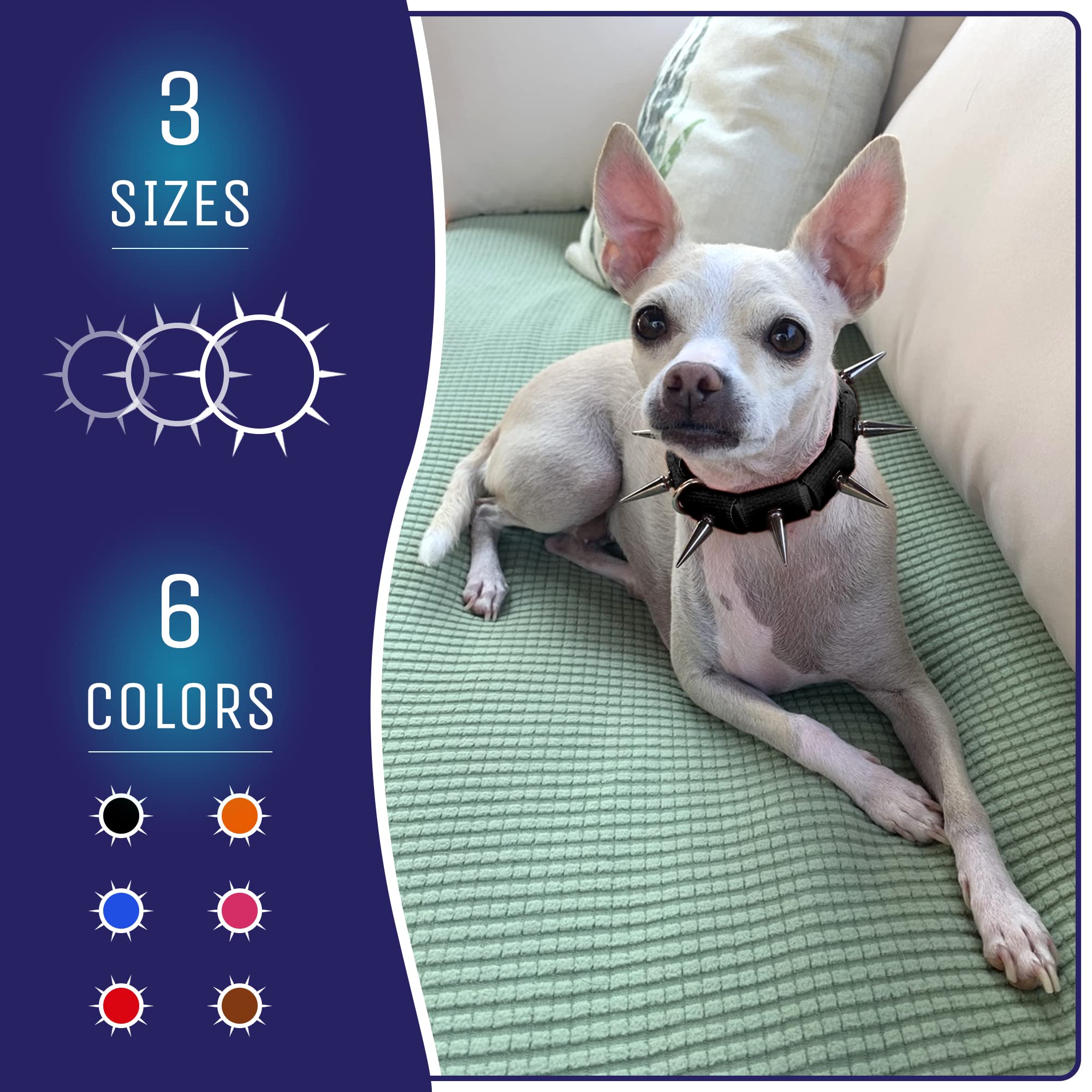 Coyotecollar Spiked Dog Collar - Small Black Spike Collar, Adjustable, Studded, Protection Against Coyotes And Aggressive Dogs