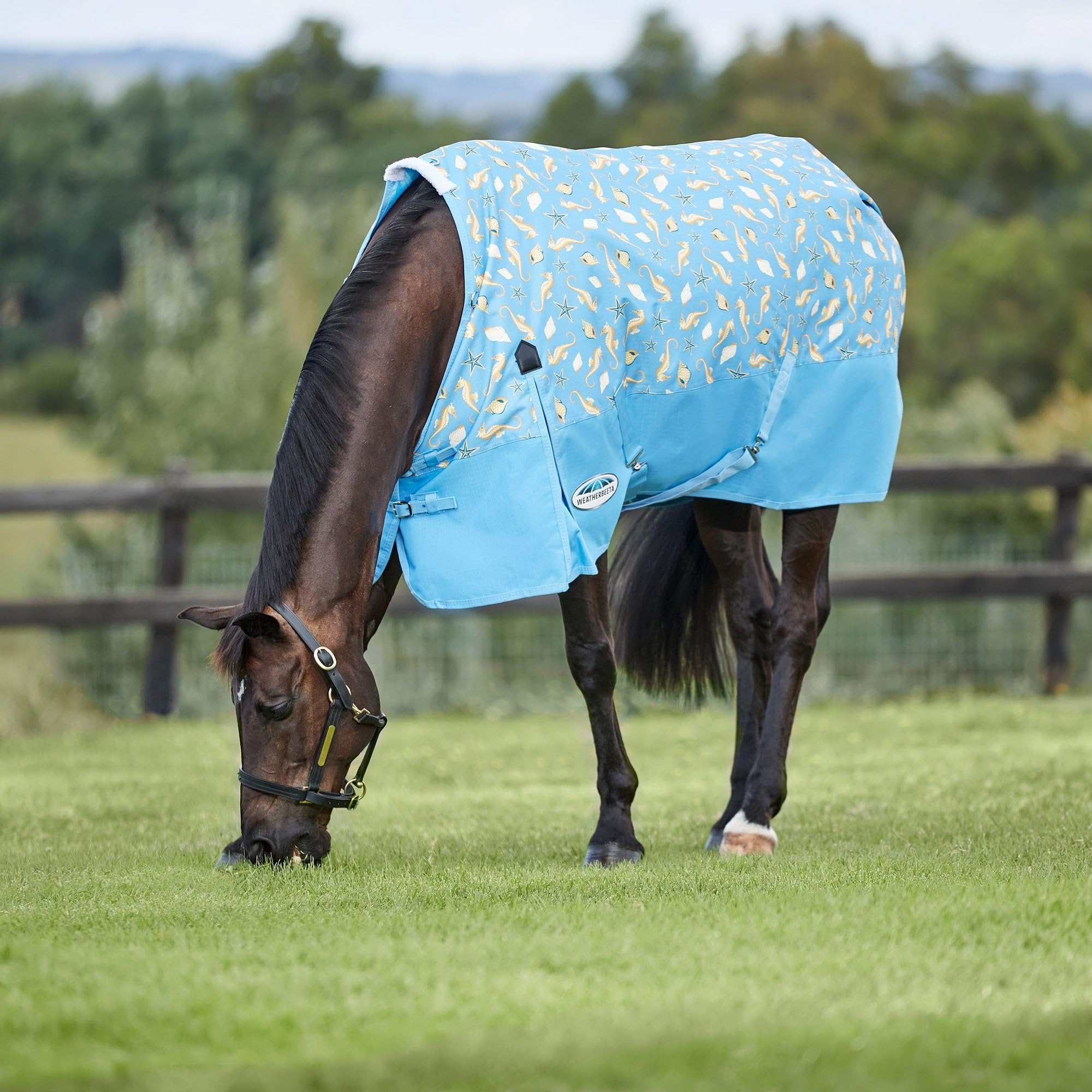 Weatherbeeta Comfitec Essential Standard Neck Lite Horse Blanket, Seahorse Print, 72'