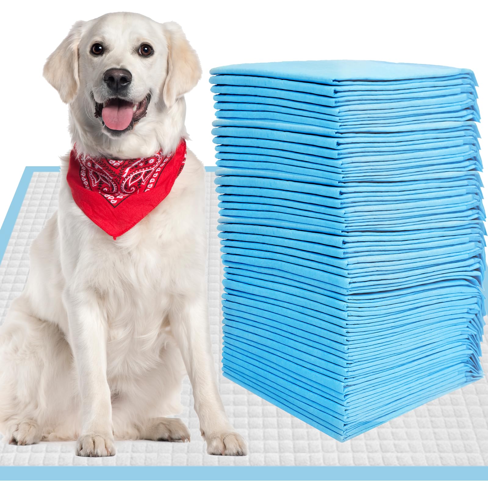 CALPALMY XL Pet Training Pee Pads (50-Count) - X-Large 28  x 34  Training Pad, Disposable Thicken Pee Pads for Dogs, Puppies, La