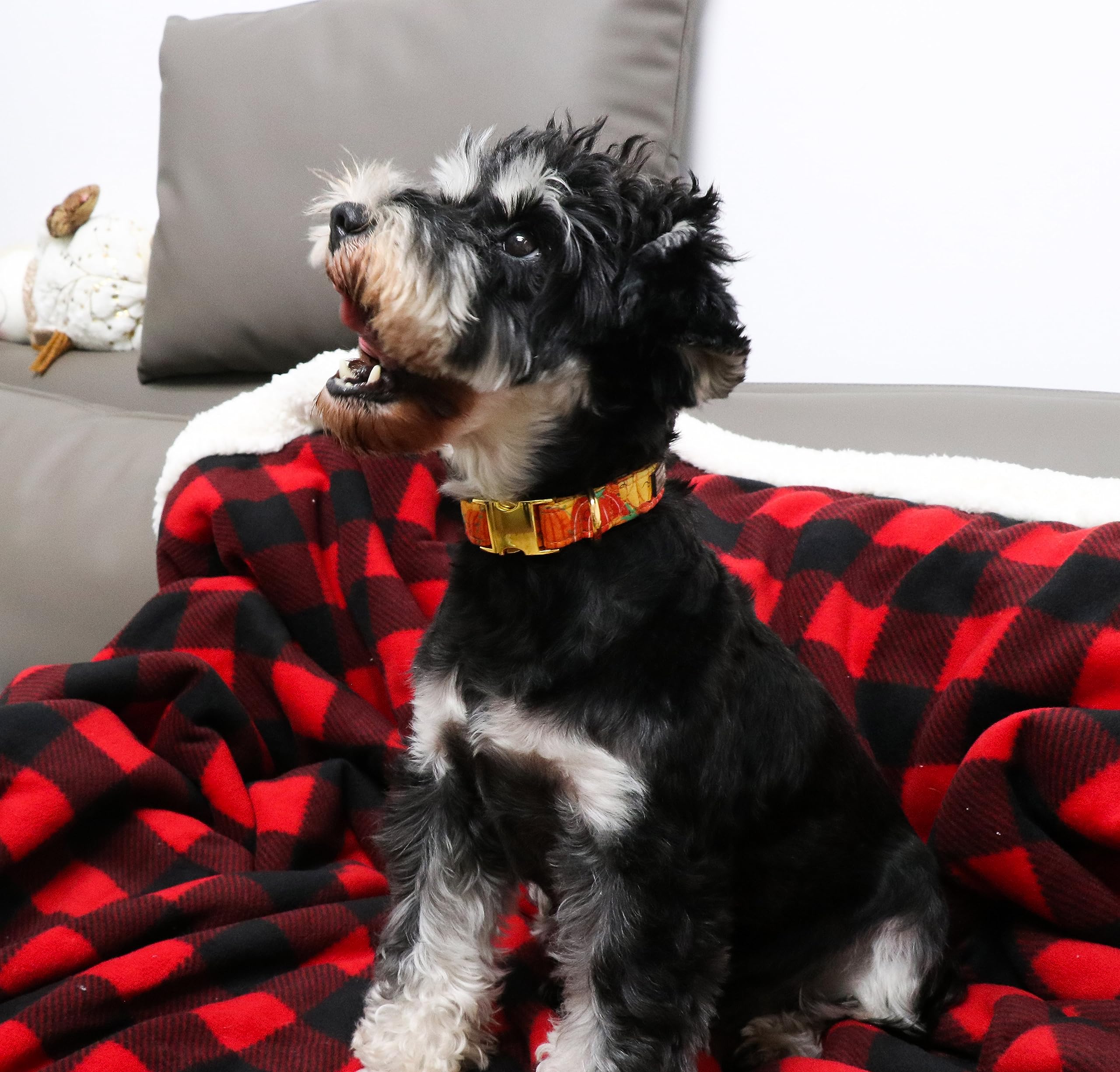 Unique Style Paws Halloween Dog Collar Metal Buckle Orange Pumpkin Collar Gift Durable Cute Collar For Small Medium Large Boys G