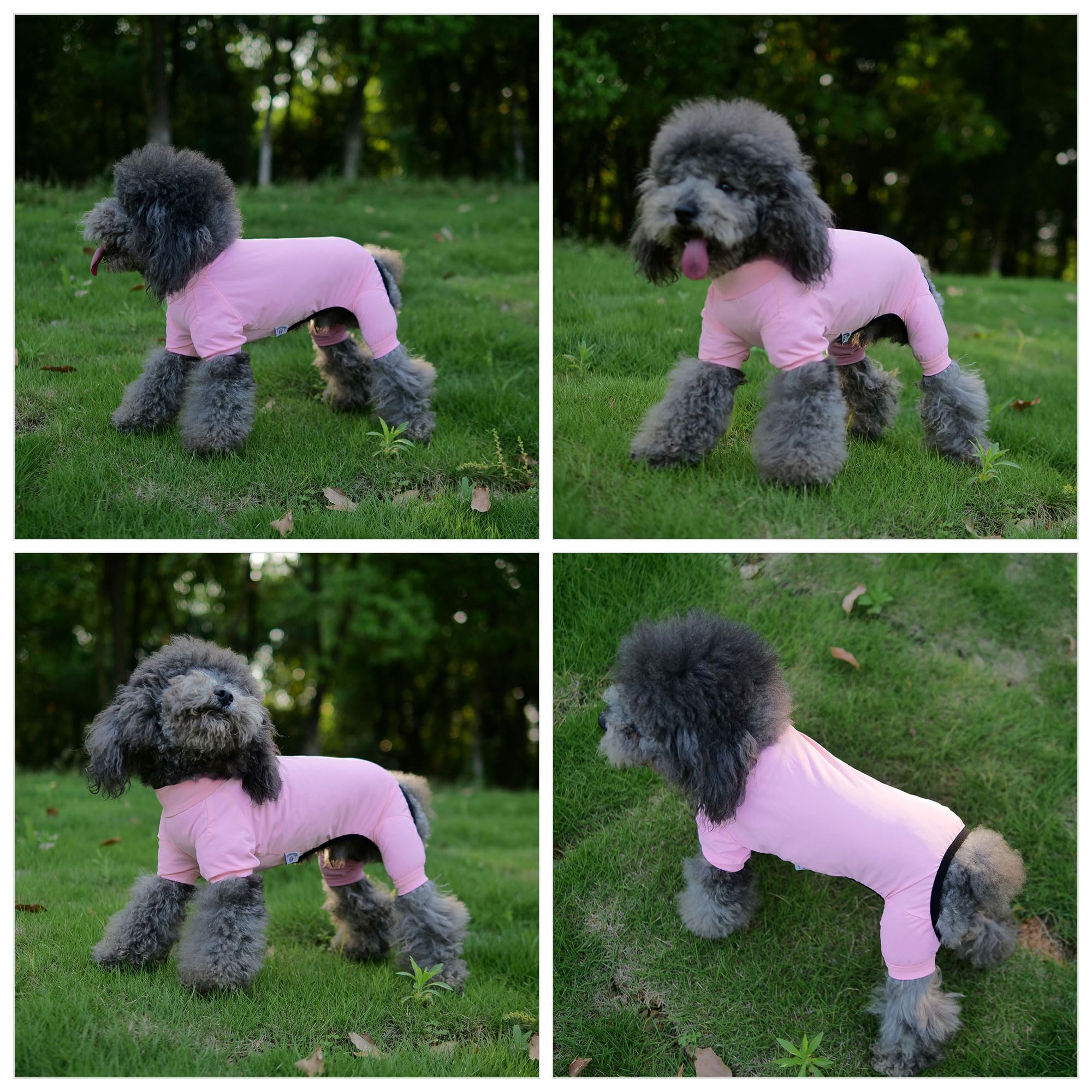 Lovelonglong Dog Jumpsuit With Uv Protection And Quick-Dry Fabric For Spring Summer Pet Pajamas Pink Xs