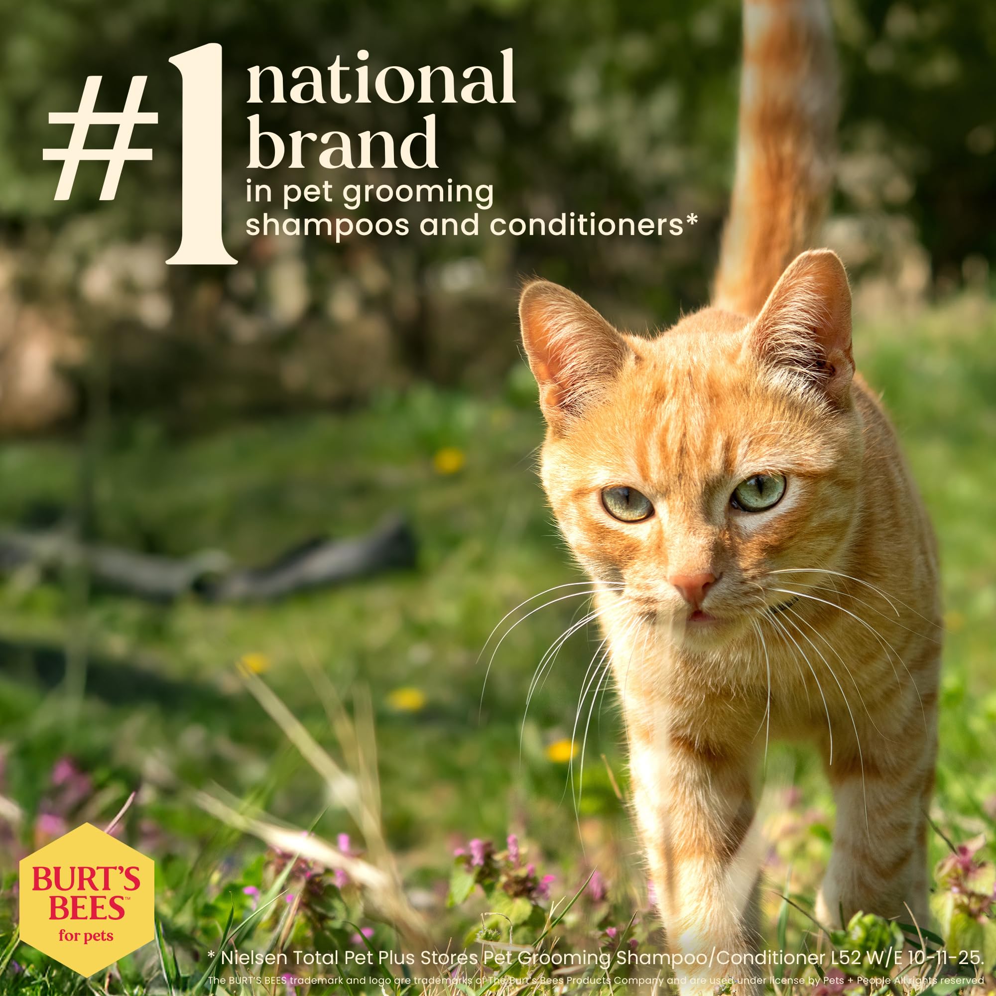 Burts Bees for Pets Anti-Hairball Wipes for Cats with Sunflower Oil and Wheat Germ Oil, 98% Natural Origin Formulas, Cat Hairba