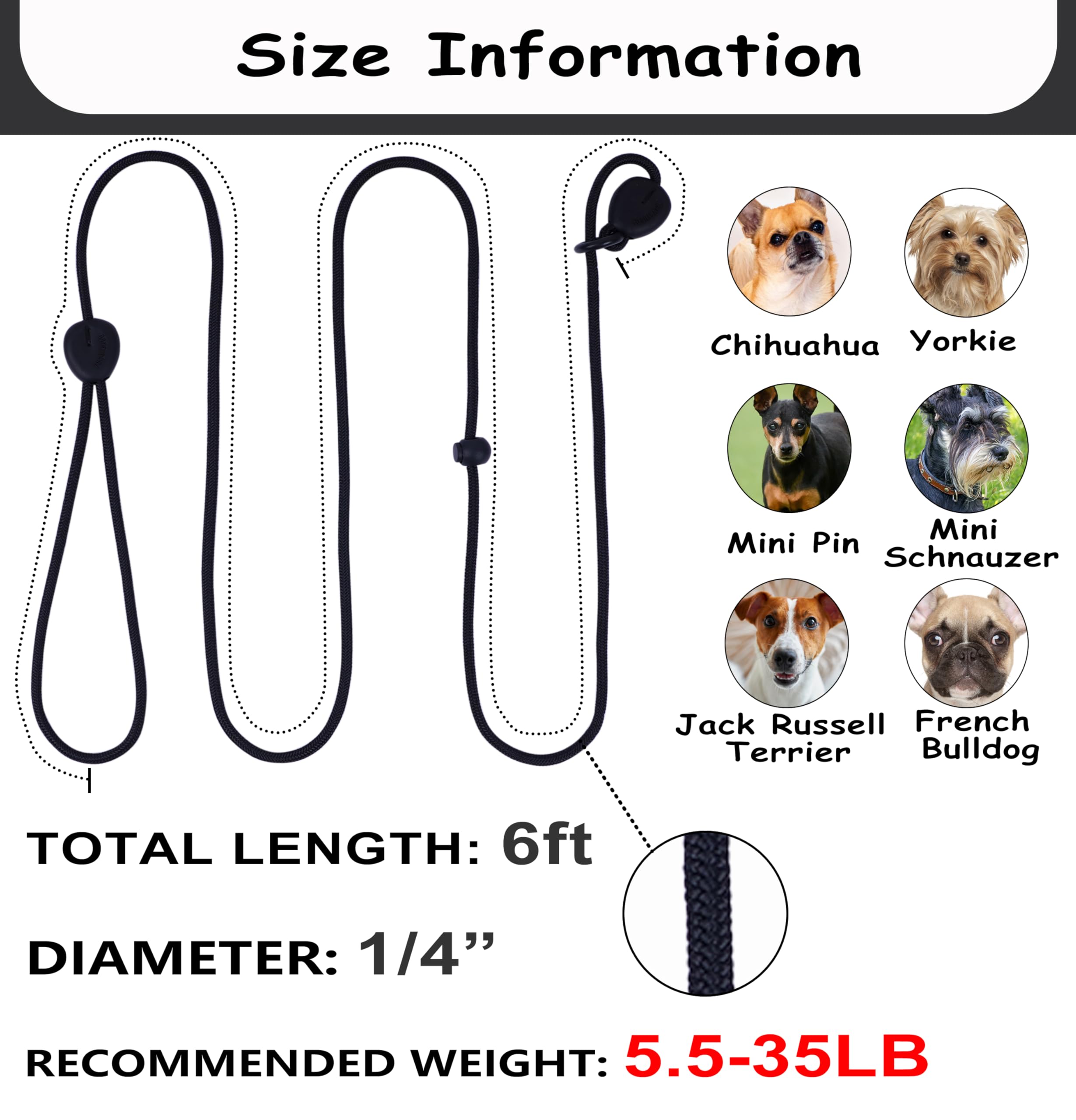 6FT Heavy Duty Slip Lead - No Pull Dog Training Leash, Comfortable & Lightweight, Suitable for Small to Medium Dogs (Black)