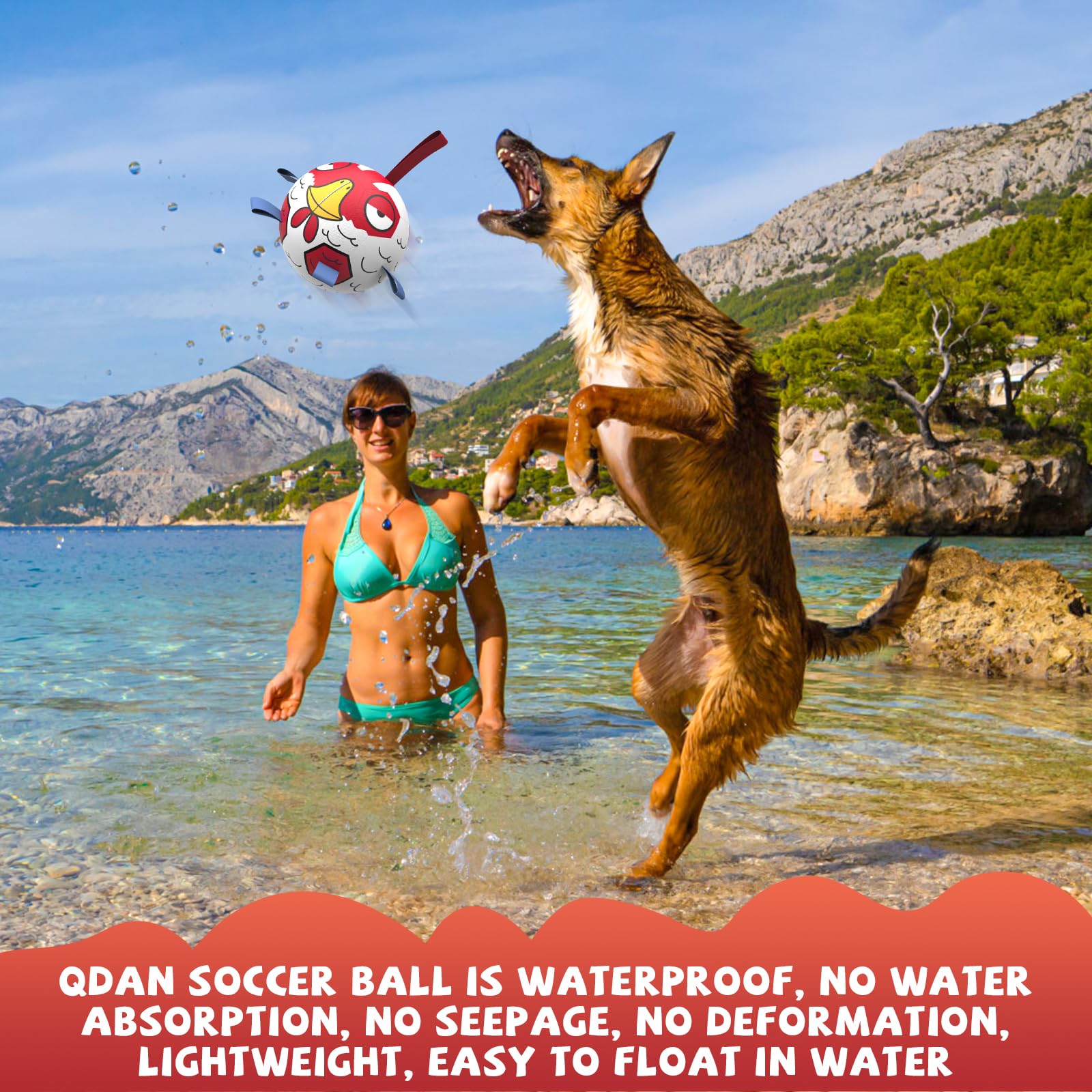 Qdan Dog Balls Toys, Outdoor Dog Toy For Small Medium Dog, Puppy Birthday Gifts, Dog Soccer Ball, 6 Inch, Chicken Dog Ball