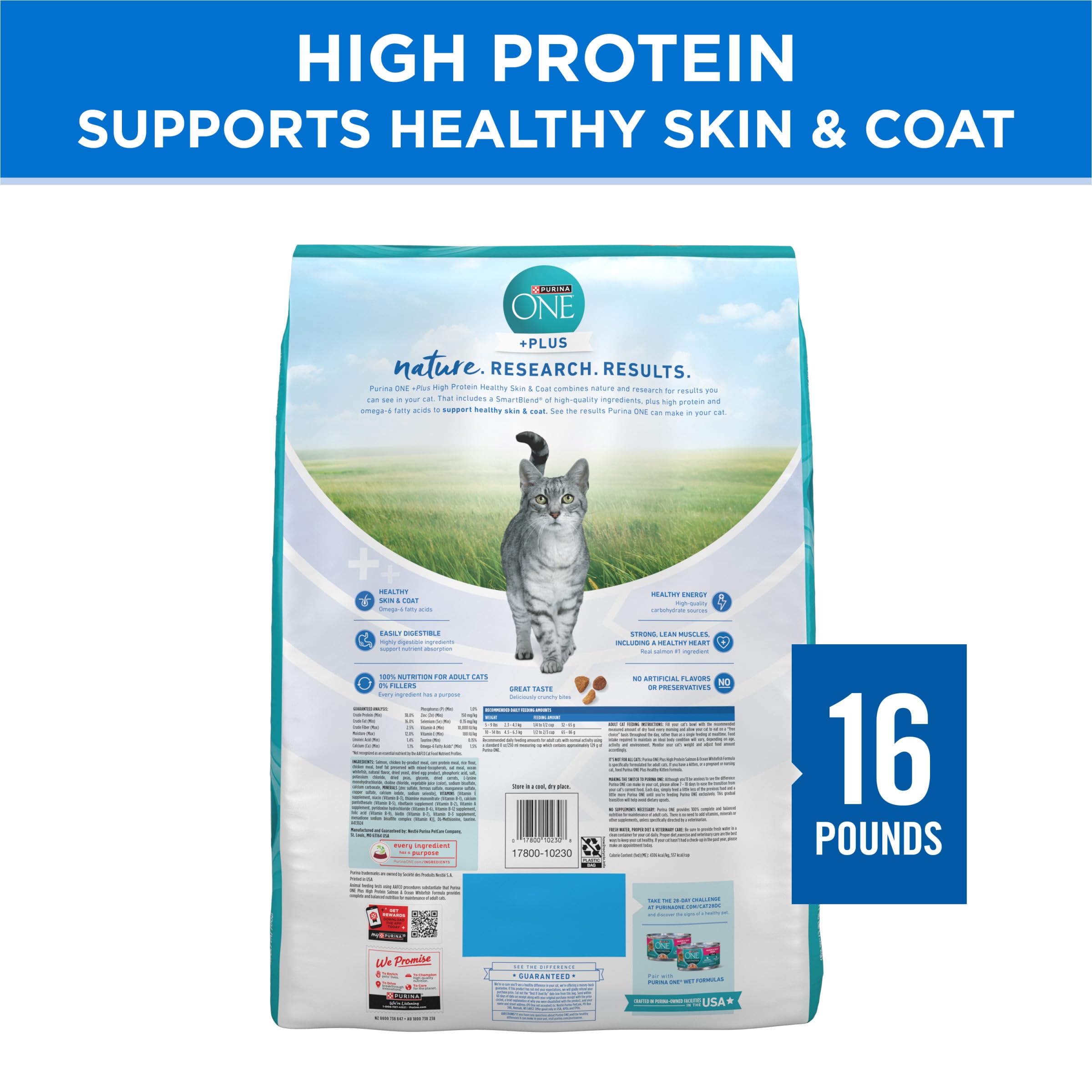 Purina ONE Plus High Protein Cat Food Dry Salmon and Ocean Whitefish Cat Skin and Coat Health Formula - 16 lb. Bag