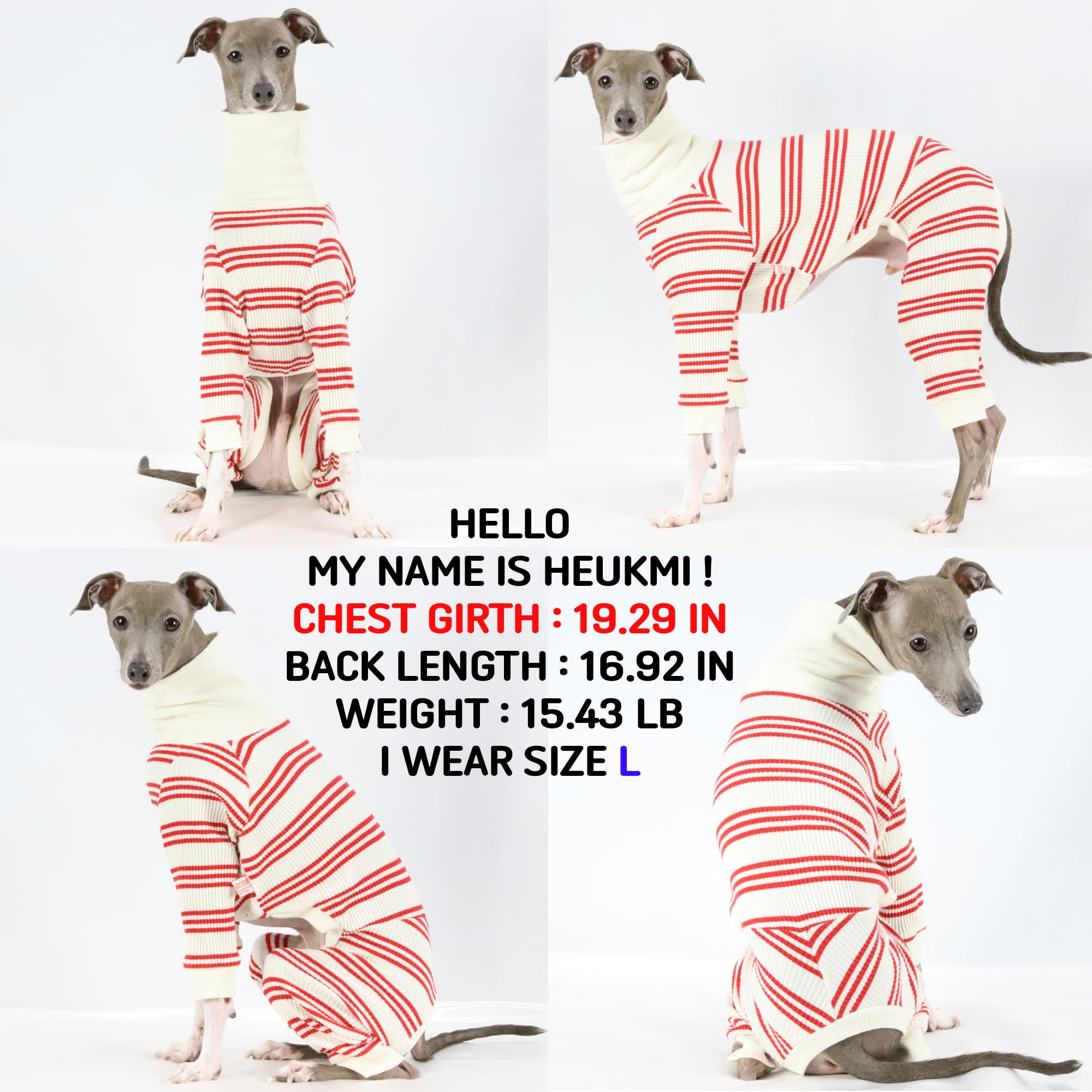 D Doggy Star Italian Greyhound Clothes Soft Stretchy Onesie Refined Stripe Outfit Whippet For Dog Coat (Xl,Onsi Red Str)