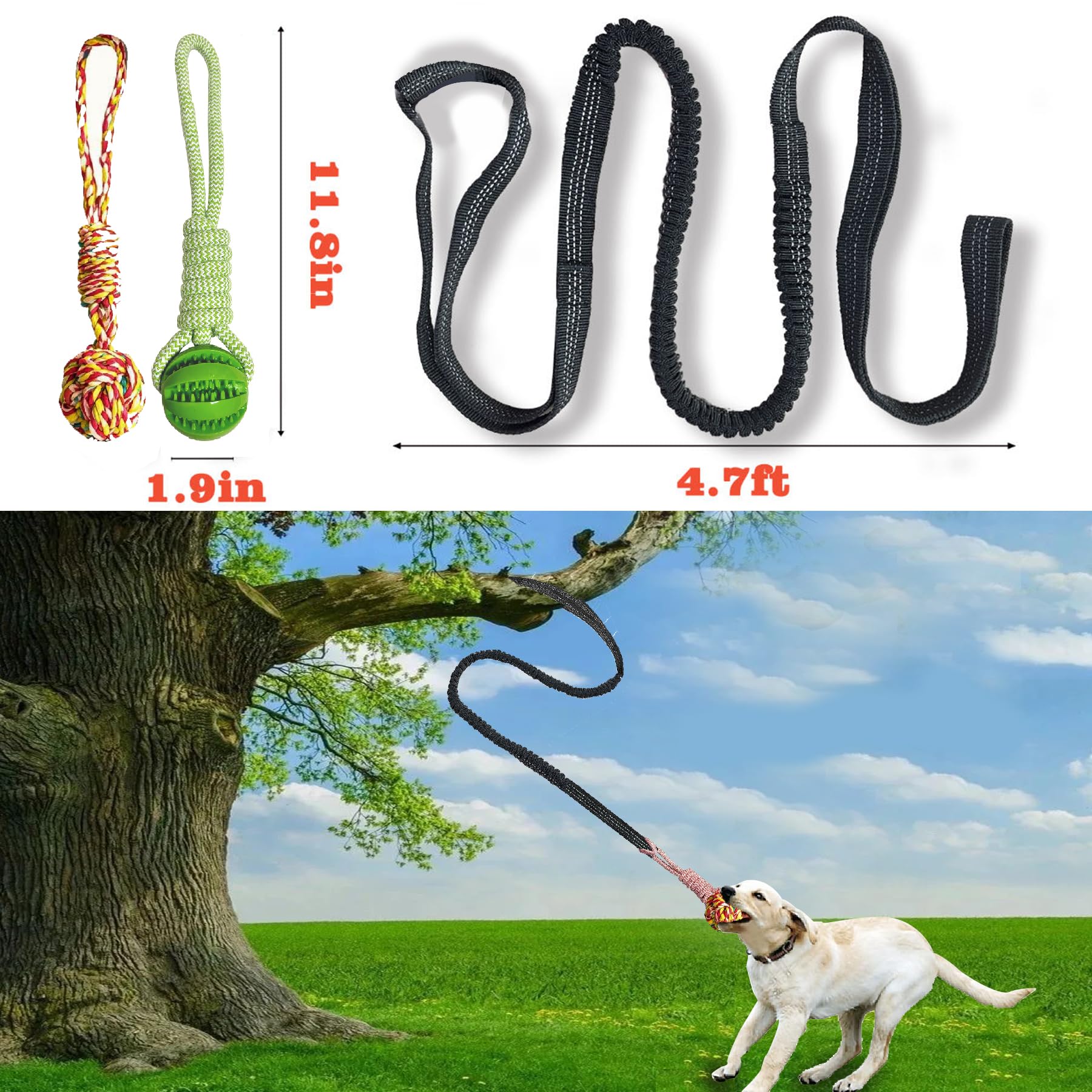 Sailstart Dog Bungee Tug Toy For Large/Medium/Small Dogs, Dog Tug Of War Toy With Stake,Outdoor Interactive Toys Can Be Used On
