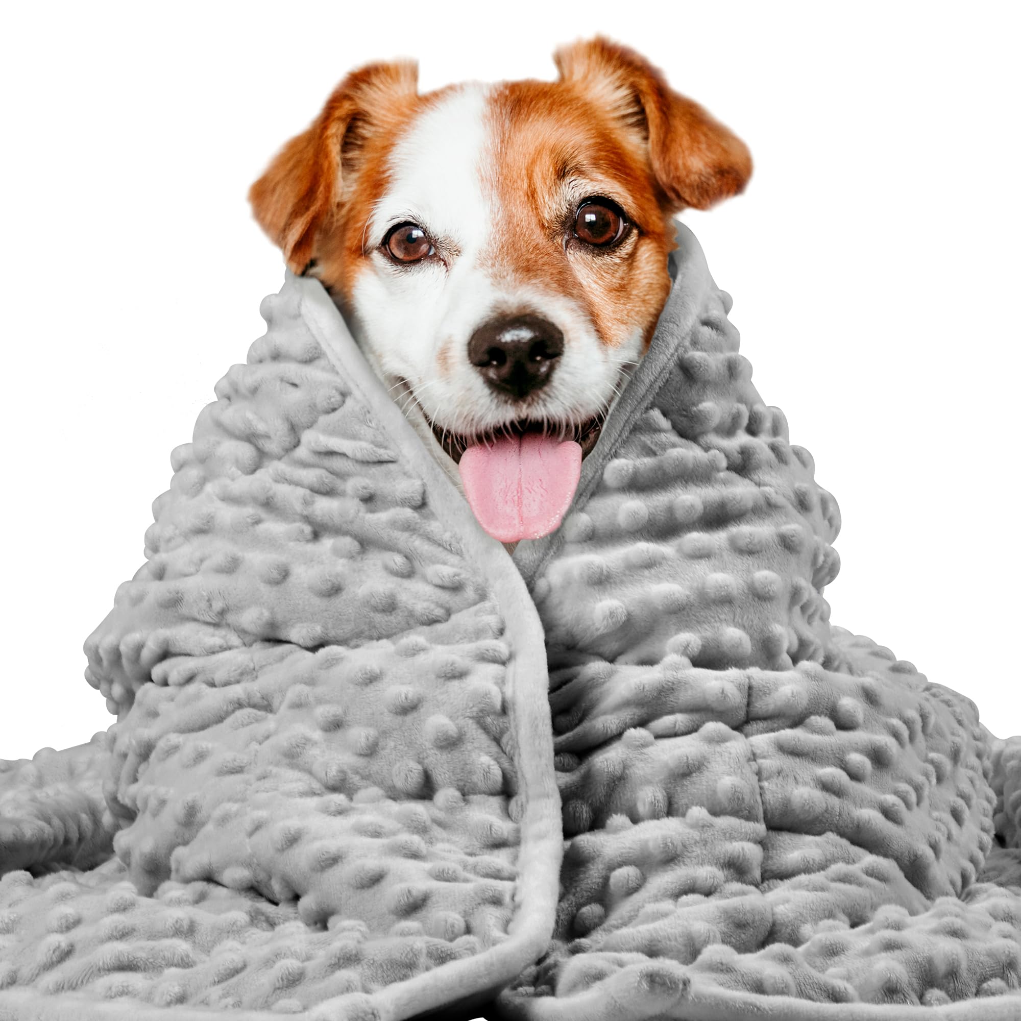 Lasyl Weighted Blanket For Pets | Thunder Blanket For Dogs Anxiety | Premium Soft Minky | Relaxation & Calming & Anti Anxiety |