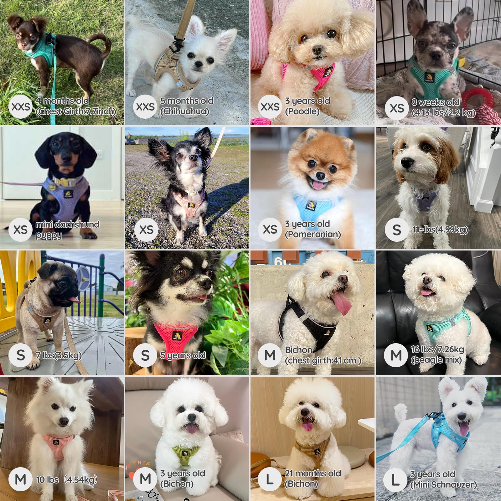 Bella & Pal Puppy Harness & Leash Set, No Pull Step-In Harness For Extra Small Dogs, Black