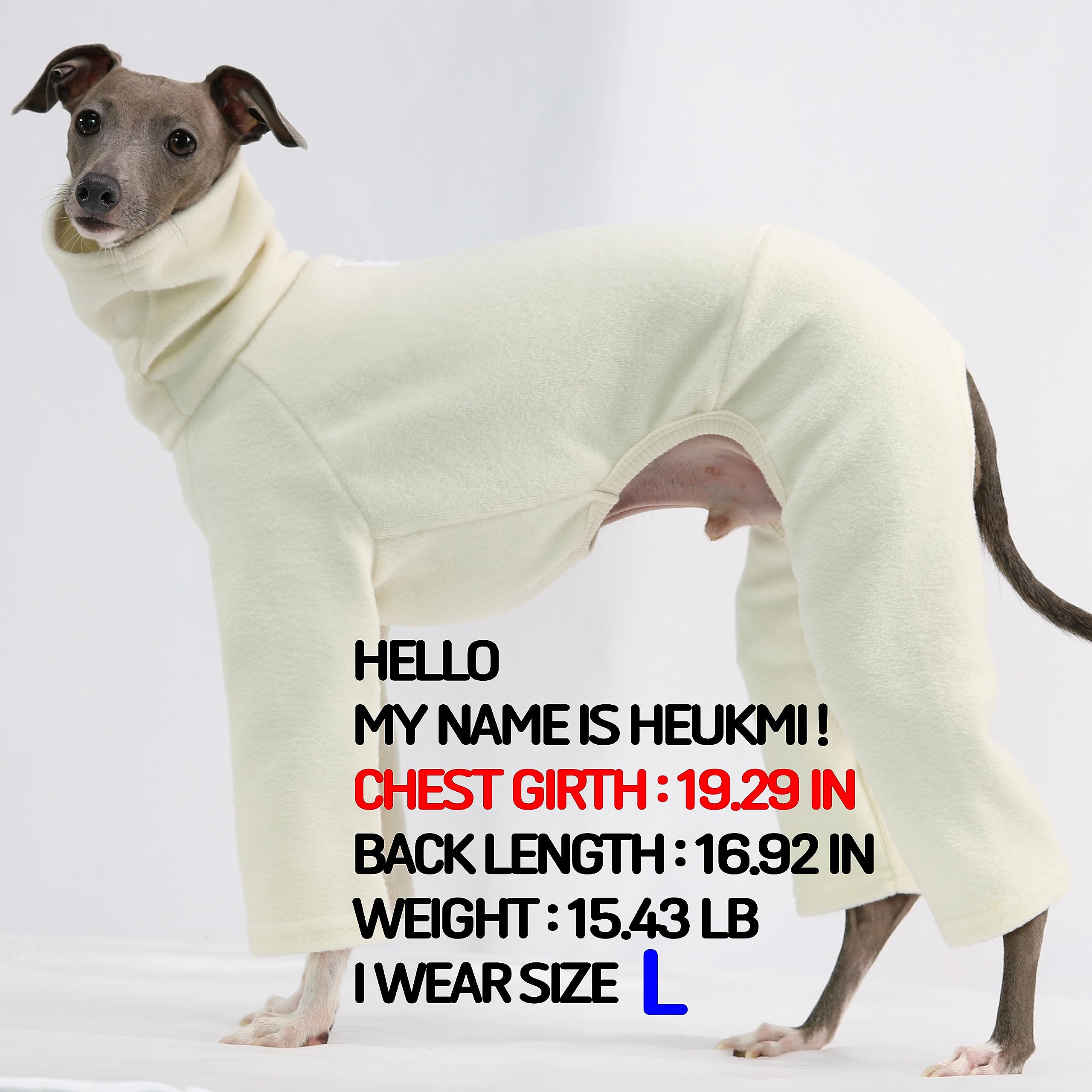 D Doggy Star Italian Greyhound Clothes Sweater Fleece Basic Onesie Whippet For Dog Turtleneck Outfits Coat (L,Flce Ivory)