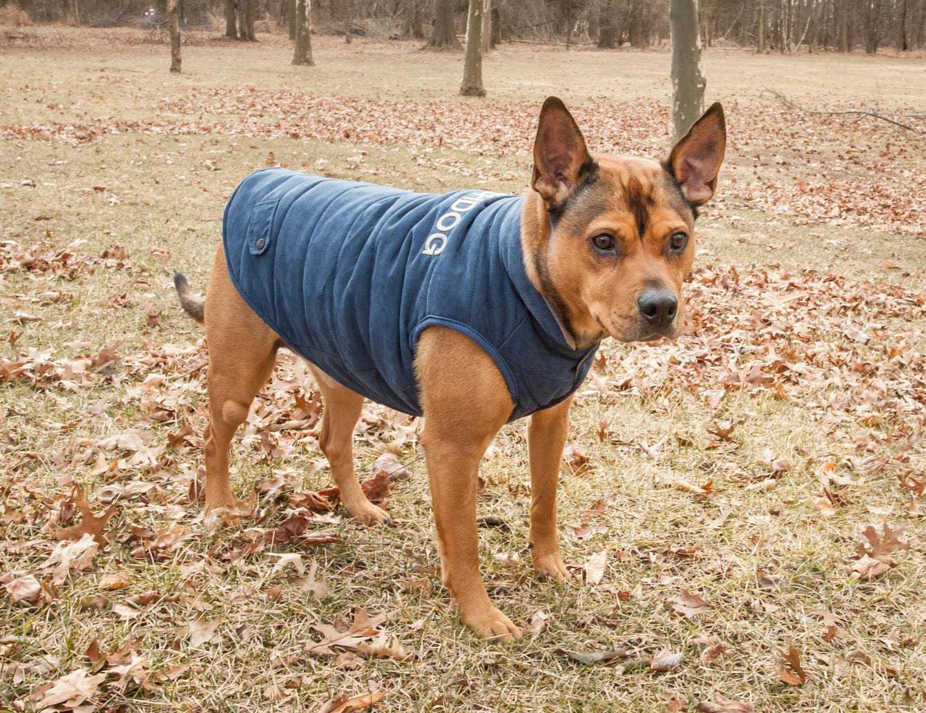 TOUCHDOG 'Waggin Swag' Fashion Designer Reversible 3M Insulated Pet Dog Coat Jacket, Large, Blue / Grey