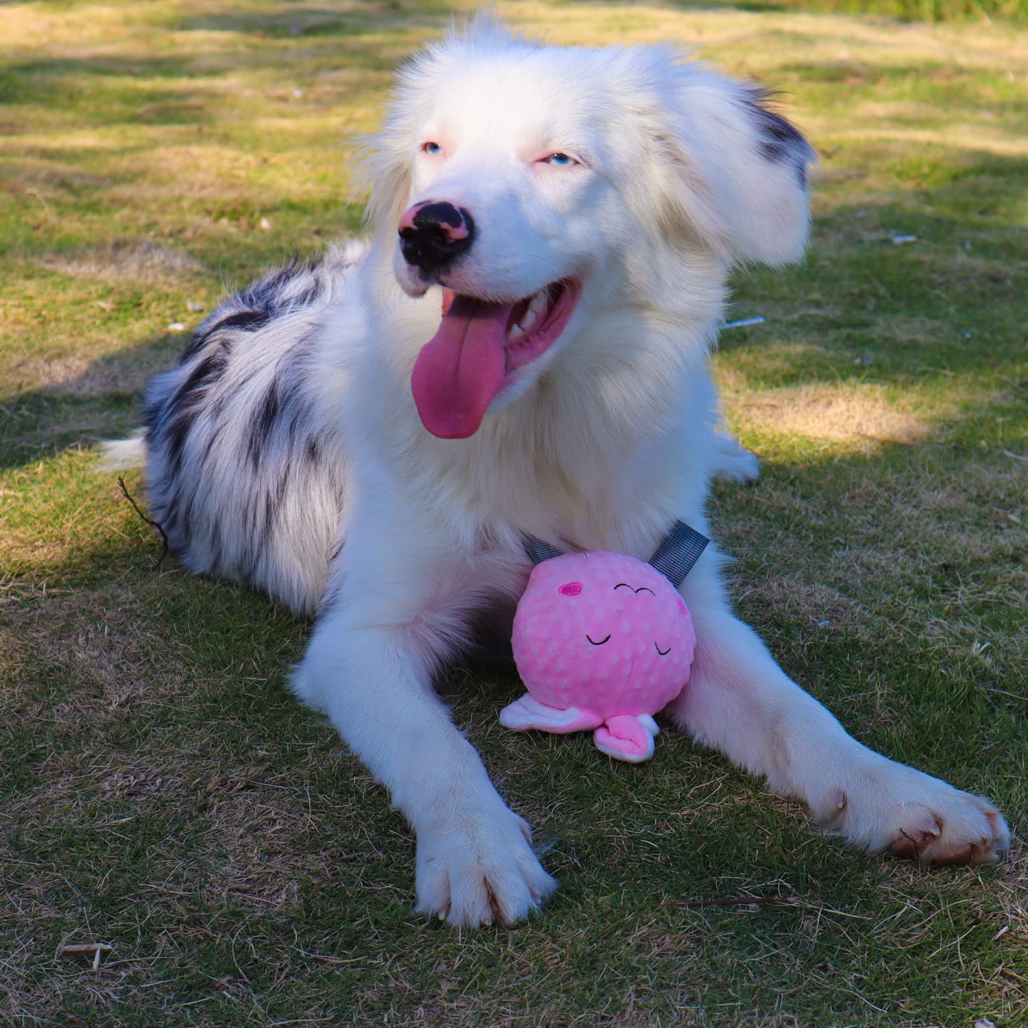 Vimigoo Dog Plush Toy, Dog Chewing Plush Toy For Small, Medium And Large Dogs Plush Squeaky Dog Toy (Ball-Rabbit)