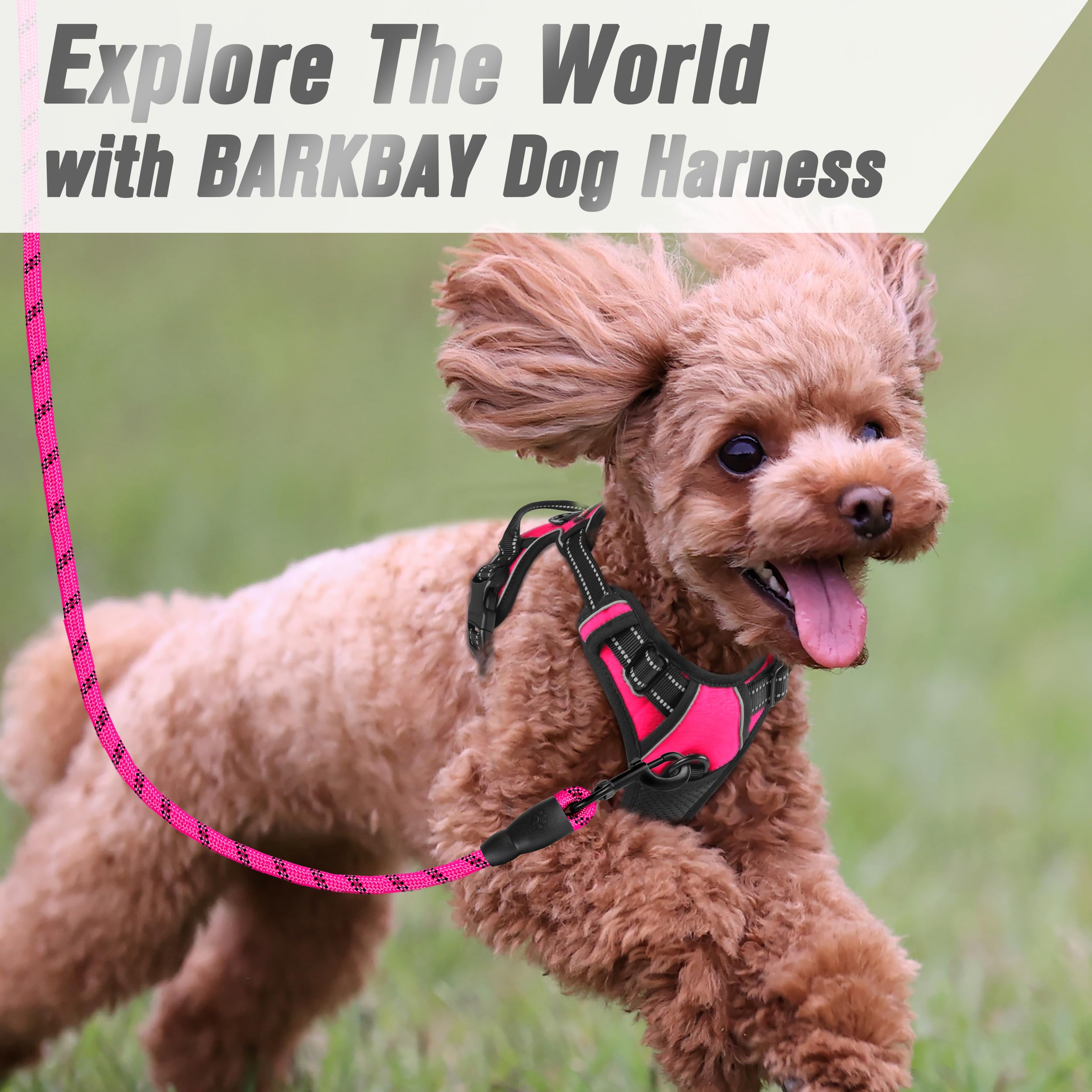 BARKBAY No Pull Dog Harness Front Clip Heavy Duty Reflective Easy Control Handle for Large Dog Walking(Pink,XS)