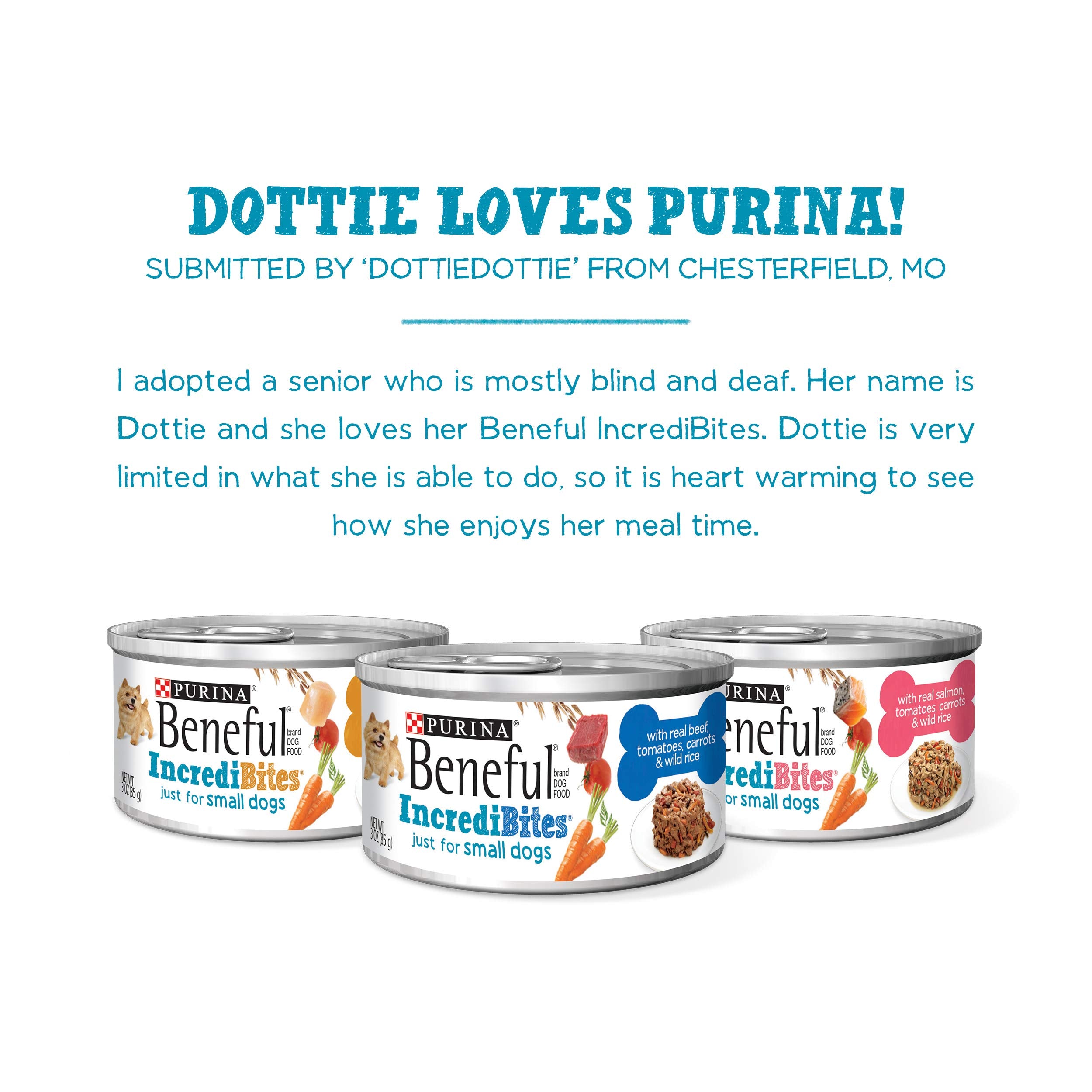 Purina Beneful Small Breed Wet Dog Food Variety Pack, IncrediBites - (2 Packs of 12) 3 oz. Cans