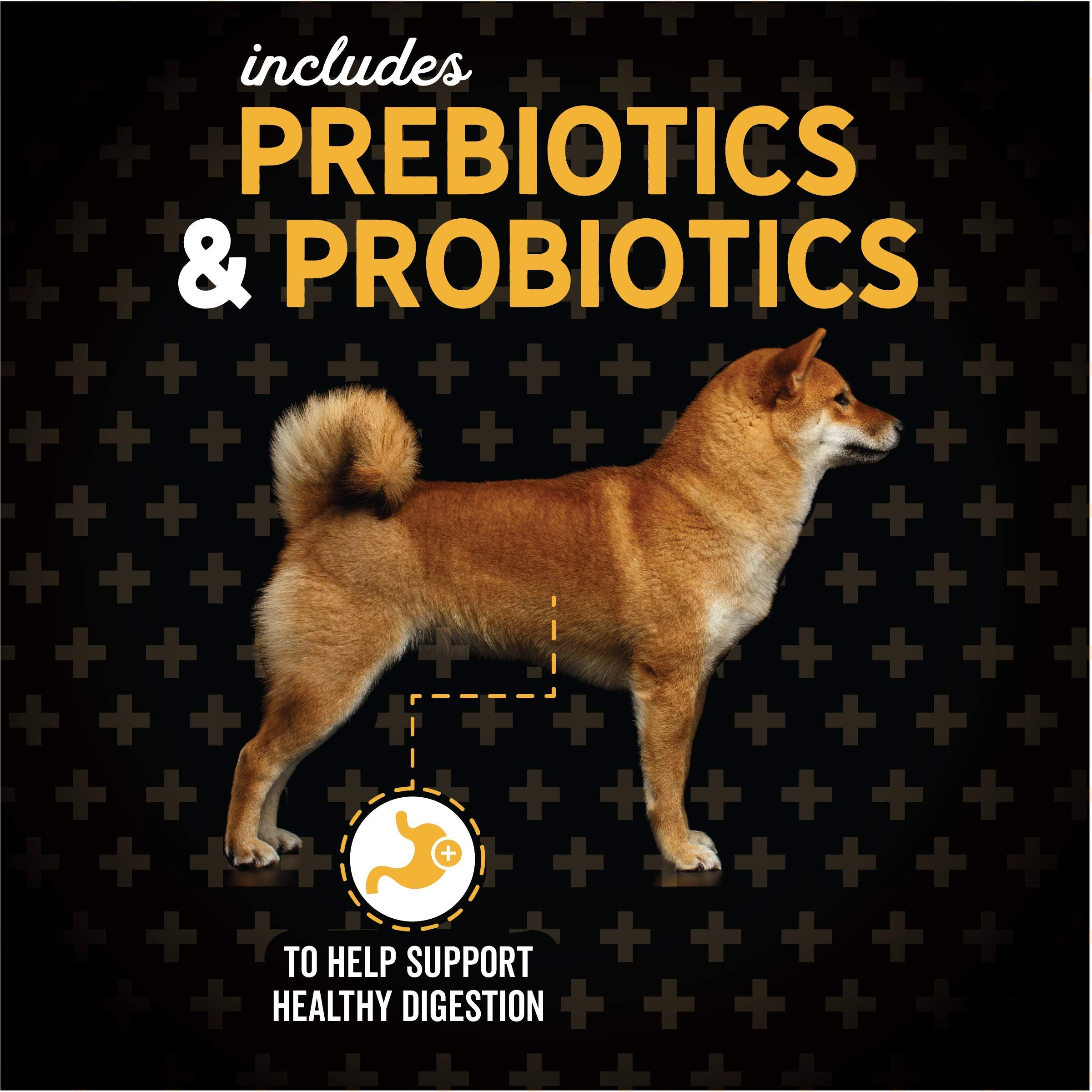 Evolve Grain Free Puppy Dog Food with Deboned Chicken, Sweet Potato & Berry, 4lb