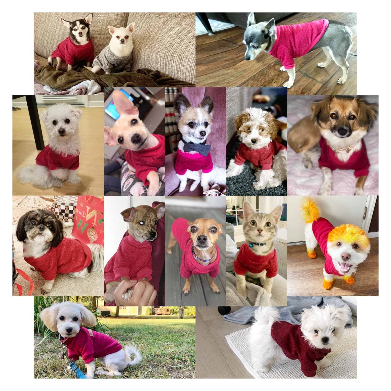 Jecikelon Dog Clothes Dogs Sweater Soft Puppies Clothing Winter Puppy Sweaters Warm Outfit For Dogs Small Xxs Xs Cat Apparel (Wi